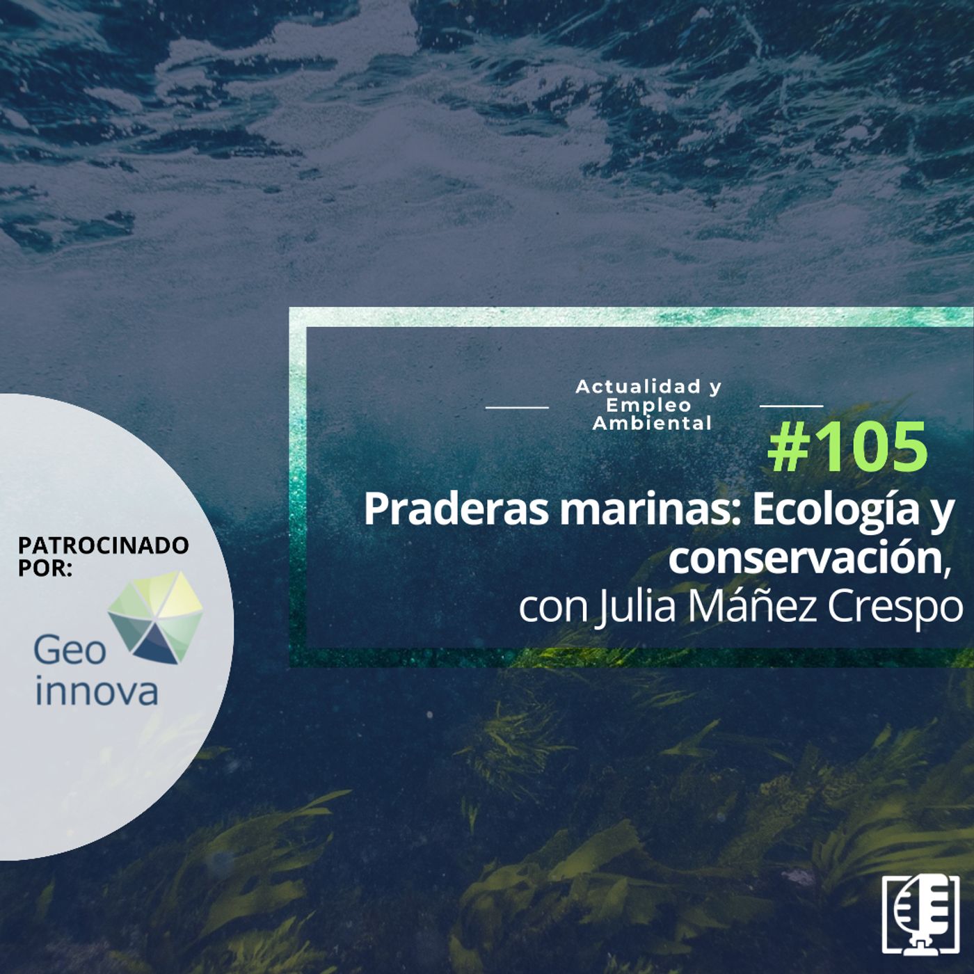 Actualidad y Empleo Ambiental