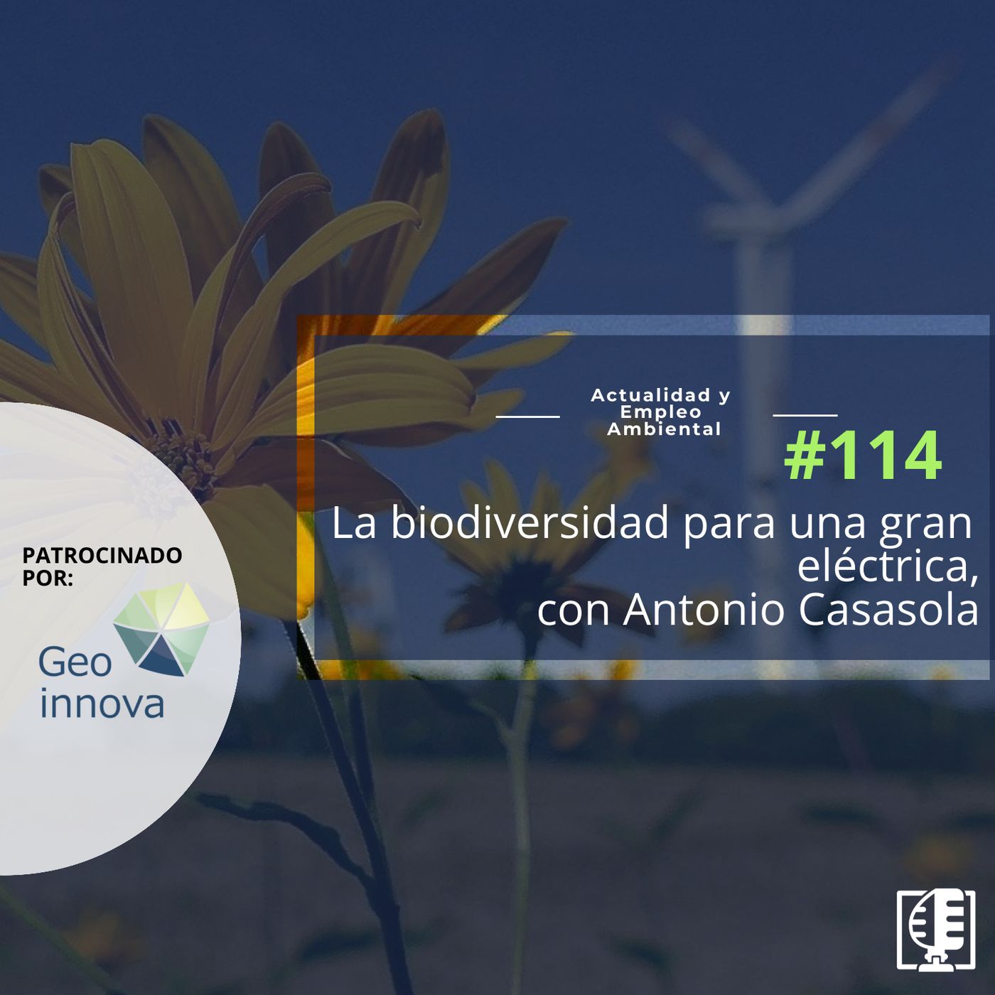 Actualidad y Empleo Ambiental