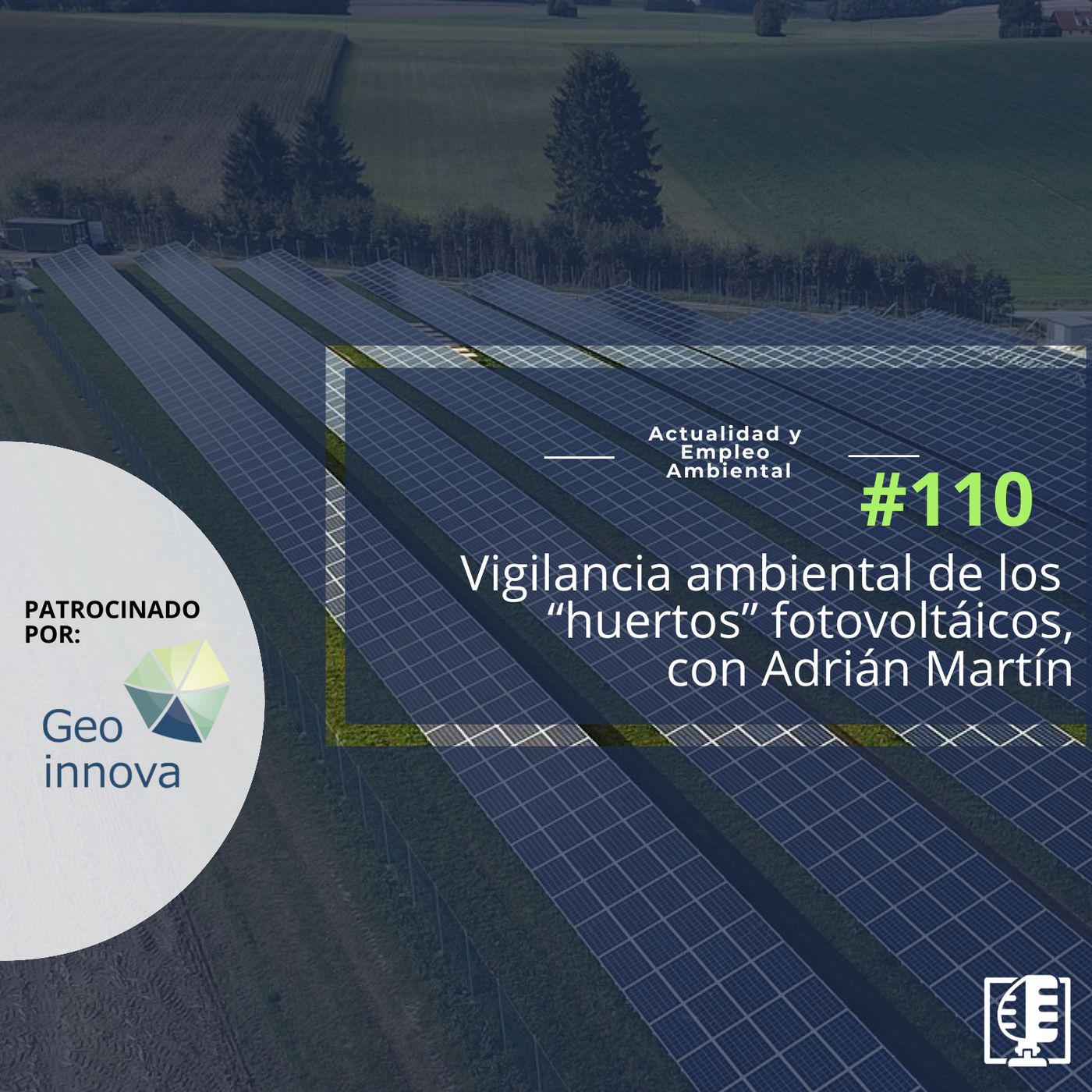 Actualidad y Empleo Ambiental