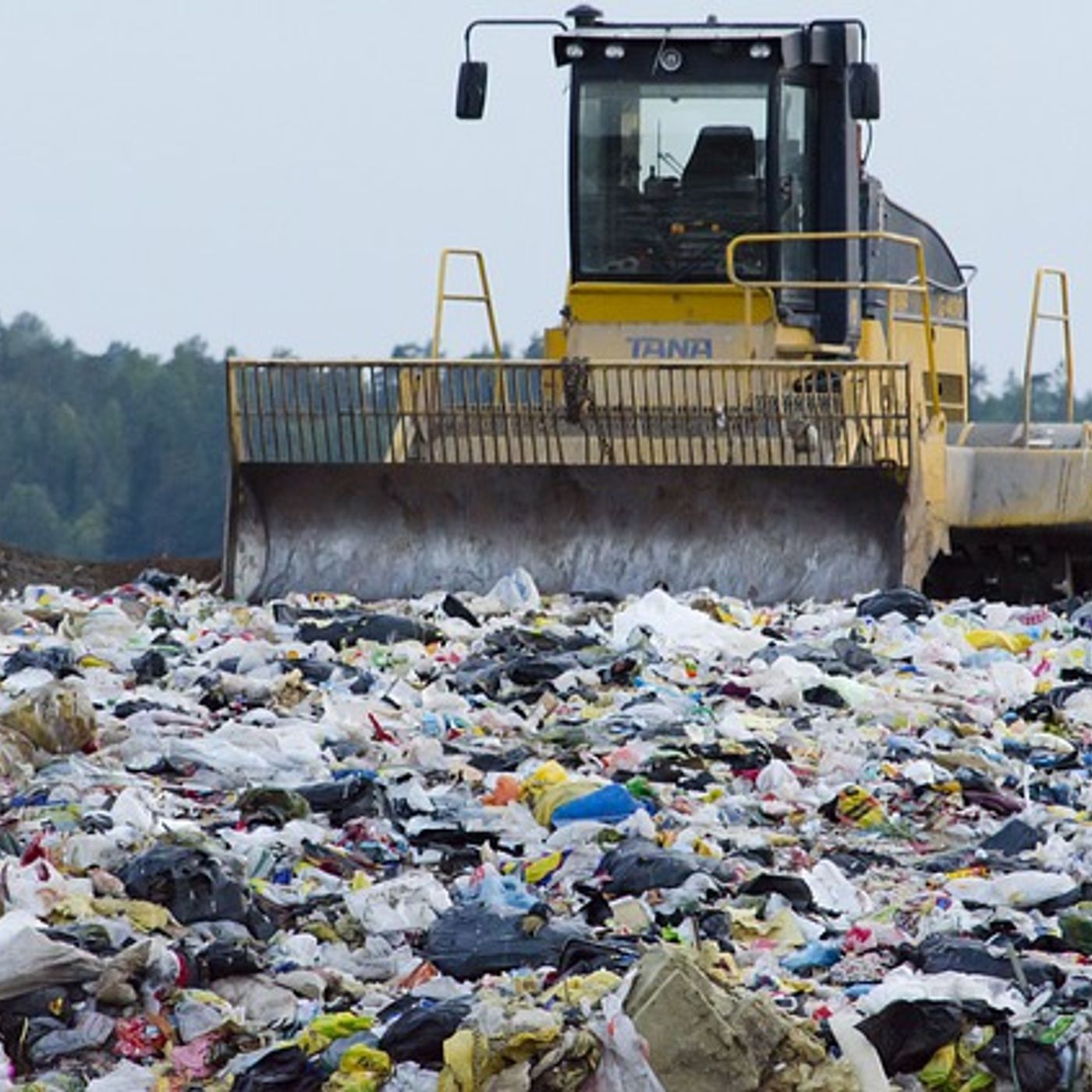 Actualidad y Empleo Ambiental