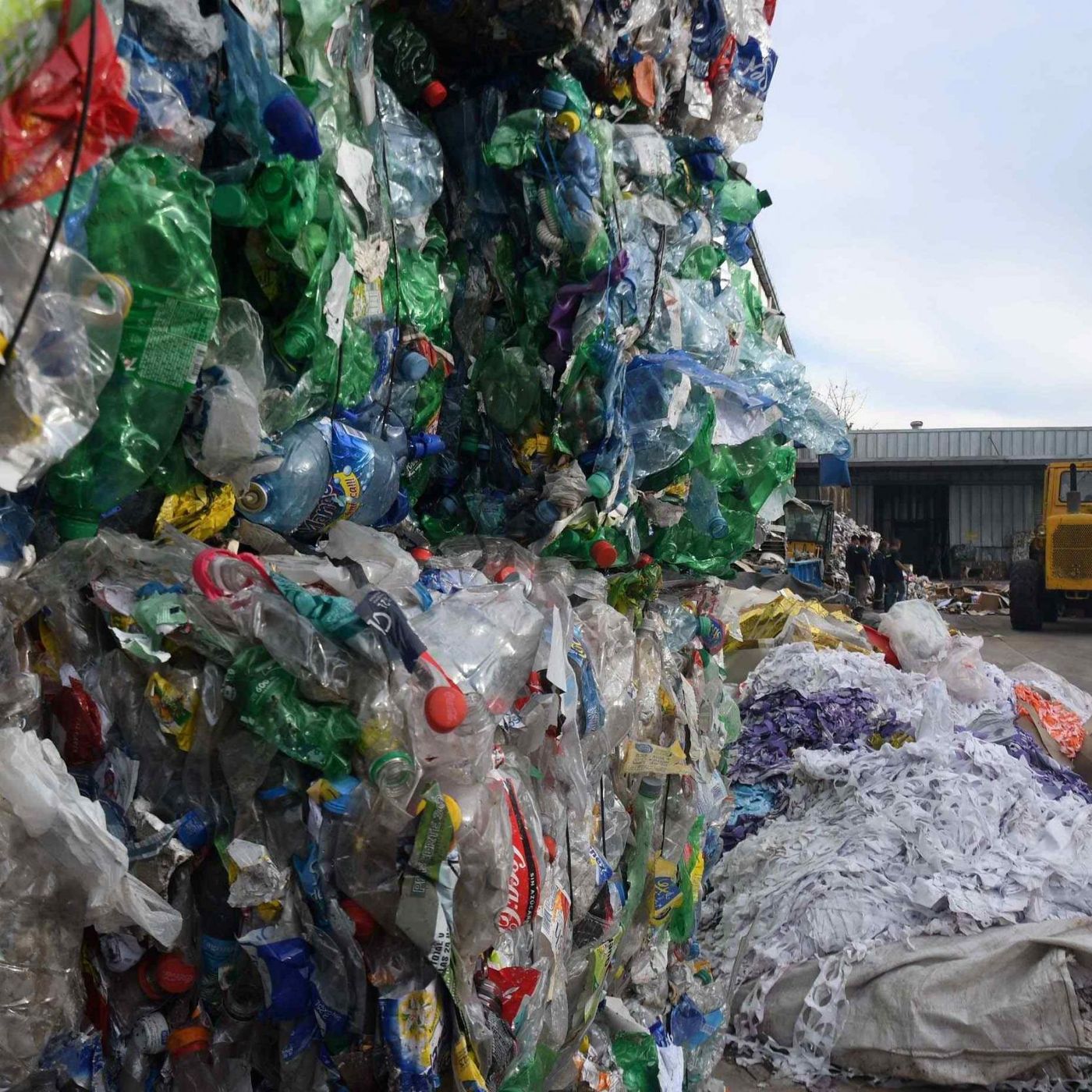 Actualidad y Empleo Ambiental