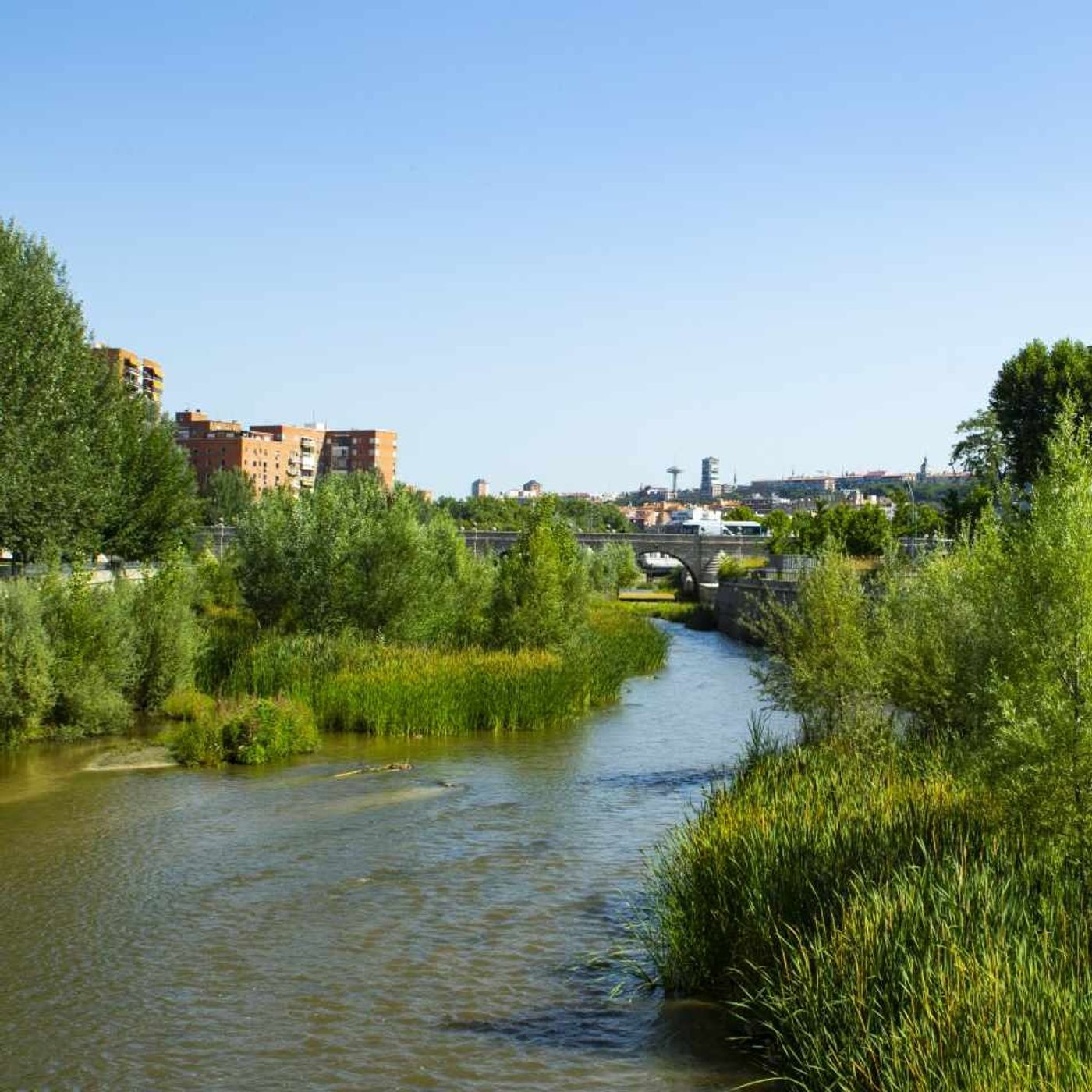 Actualidad y Empleo Ambiental