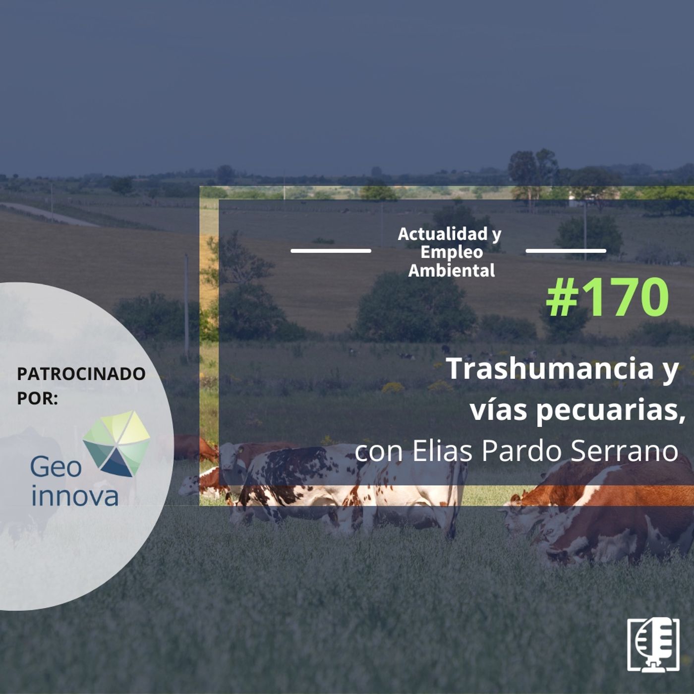 Actualidad y Empleo Ambiental