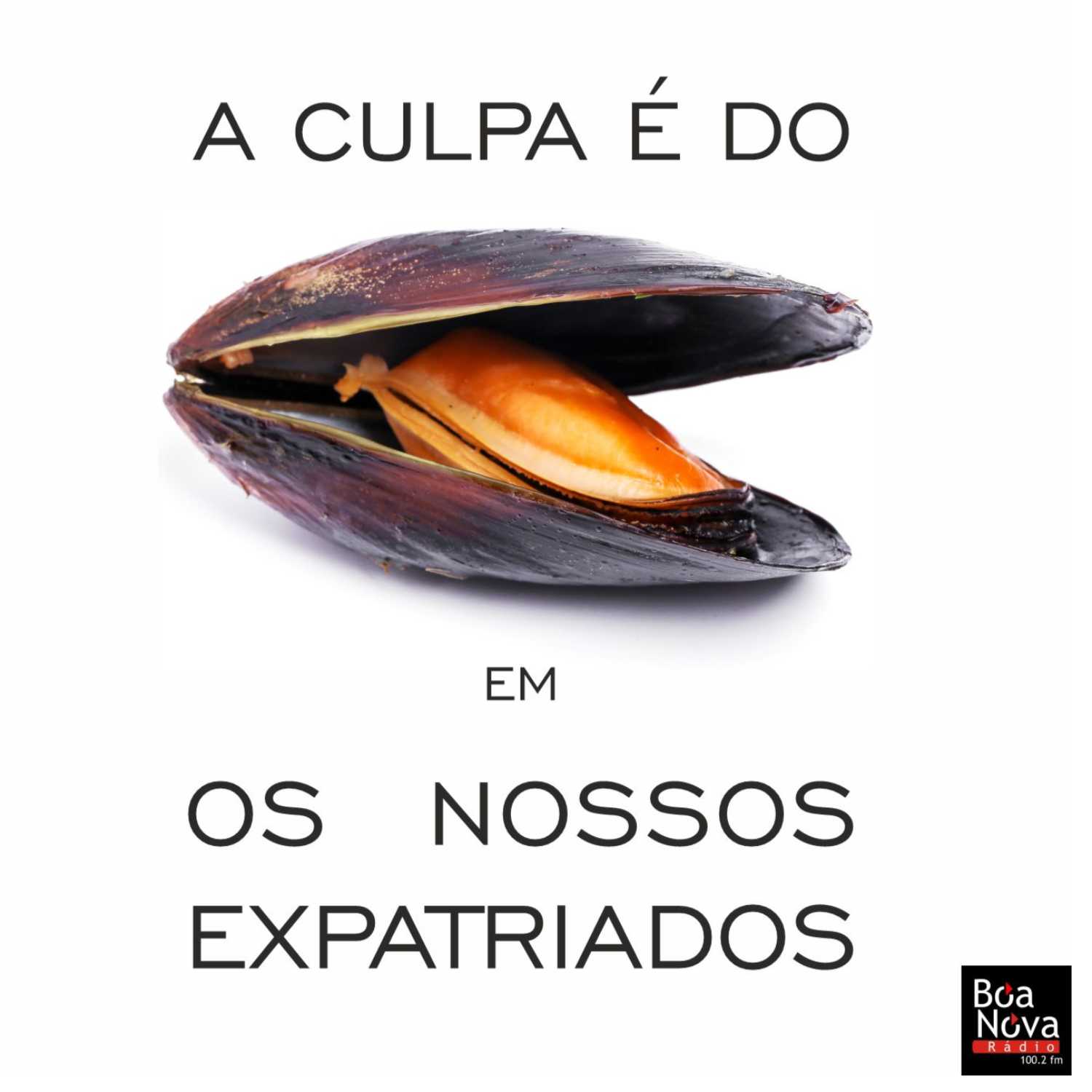 A Culpa é do Mexilhão