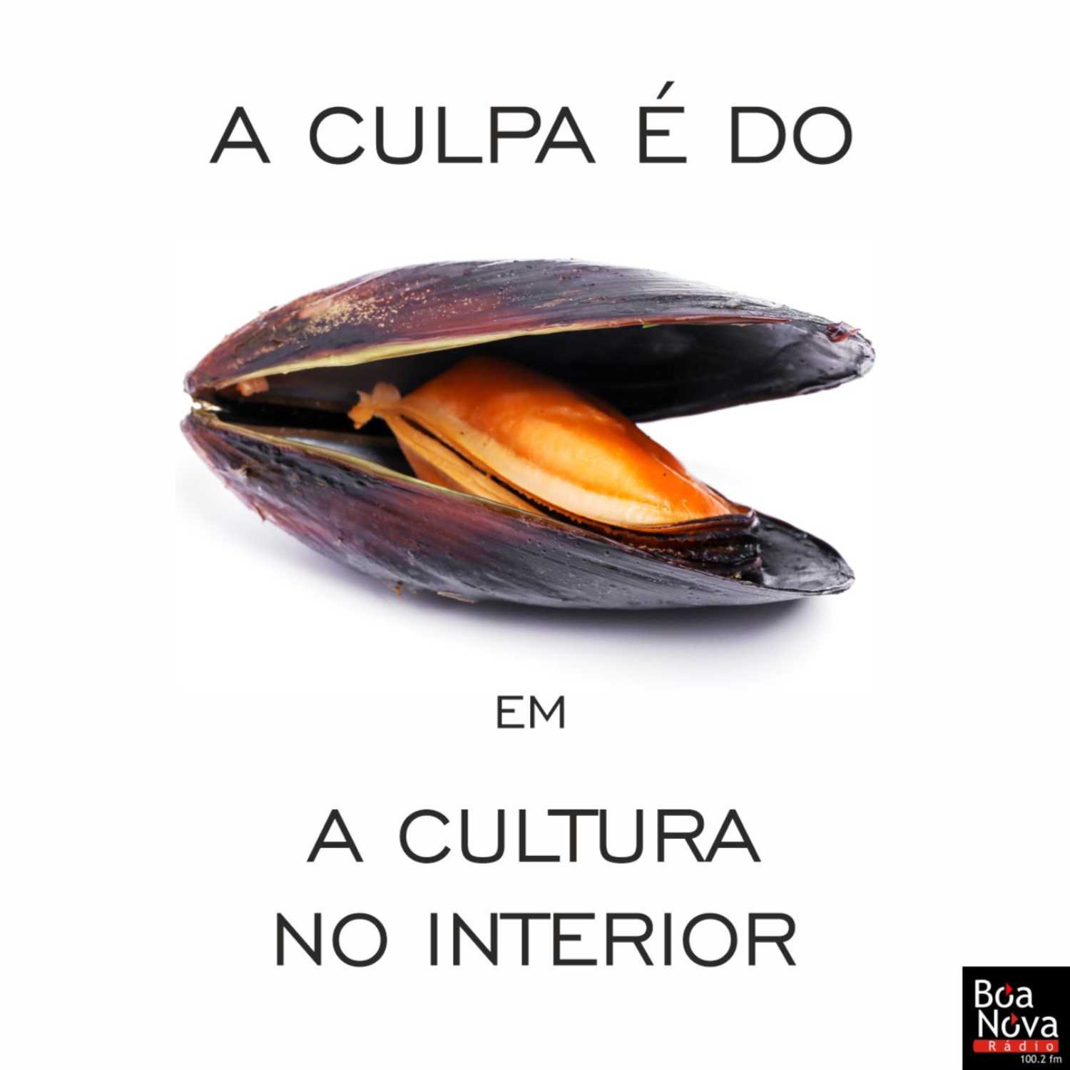 A Culpa é do Mexilhão