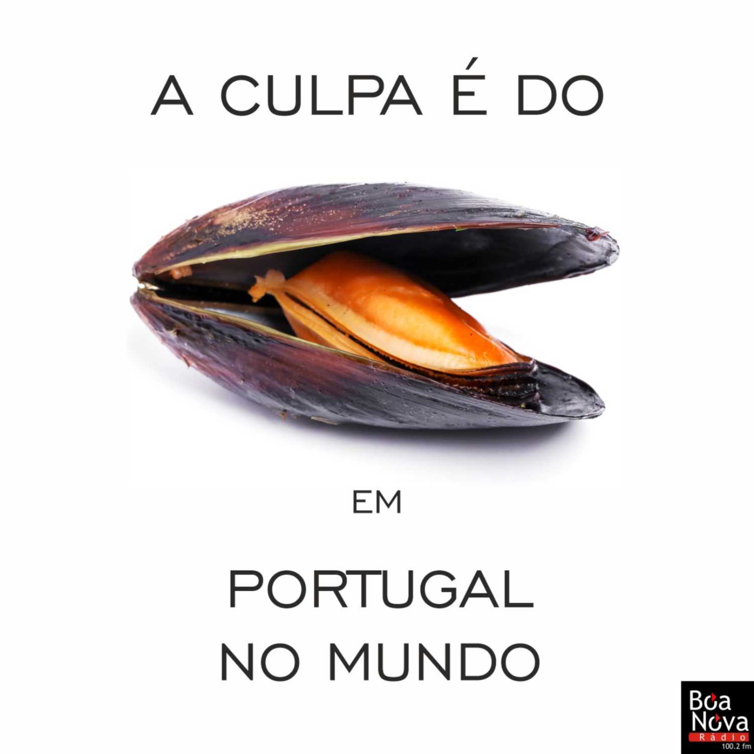 A Culpa é do Mexilhão