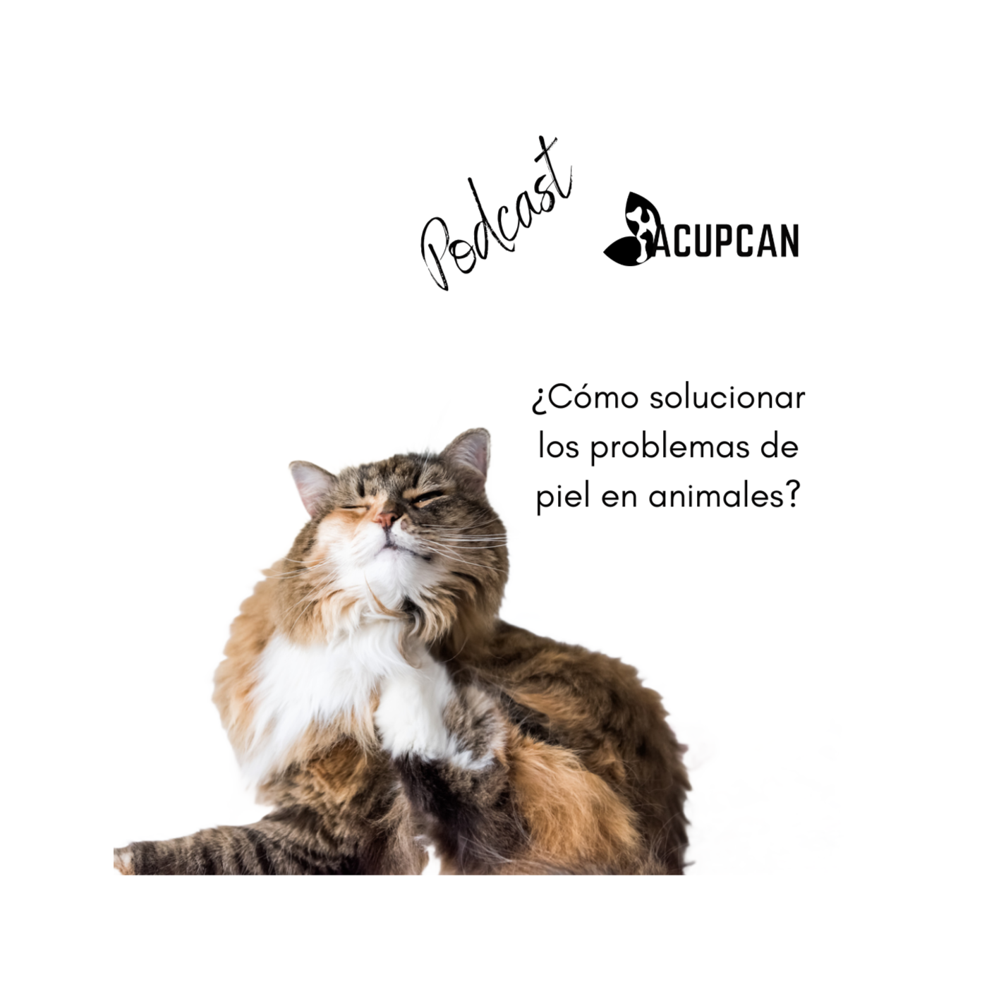 Salud y bienestar Animal más allá de la medicina tradicional