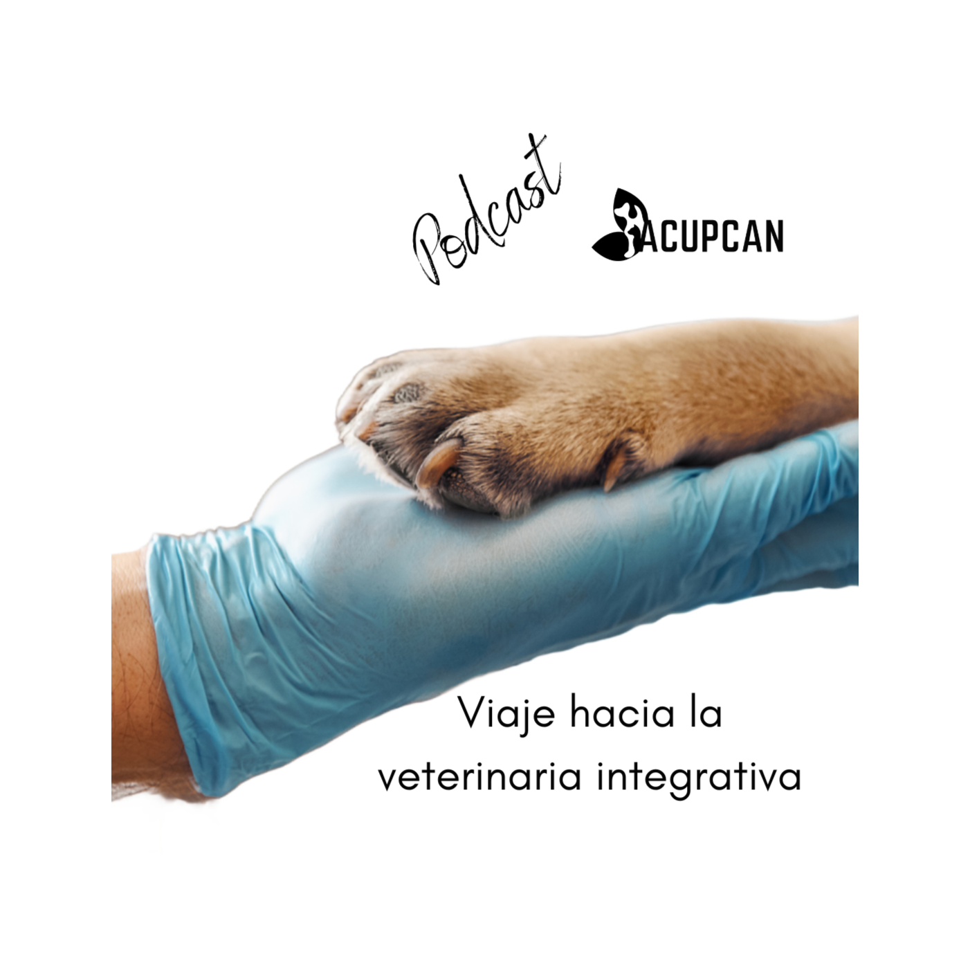 Salud y bienestar Animal más allá de la medicina tradicional