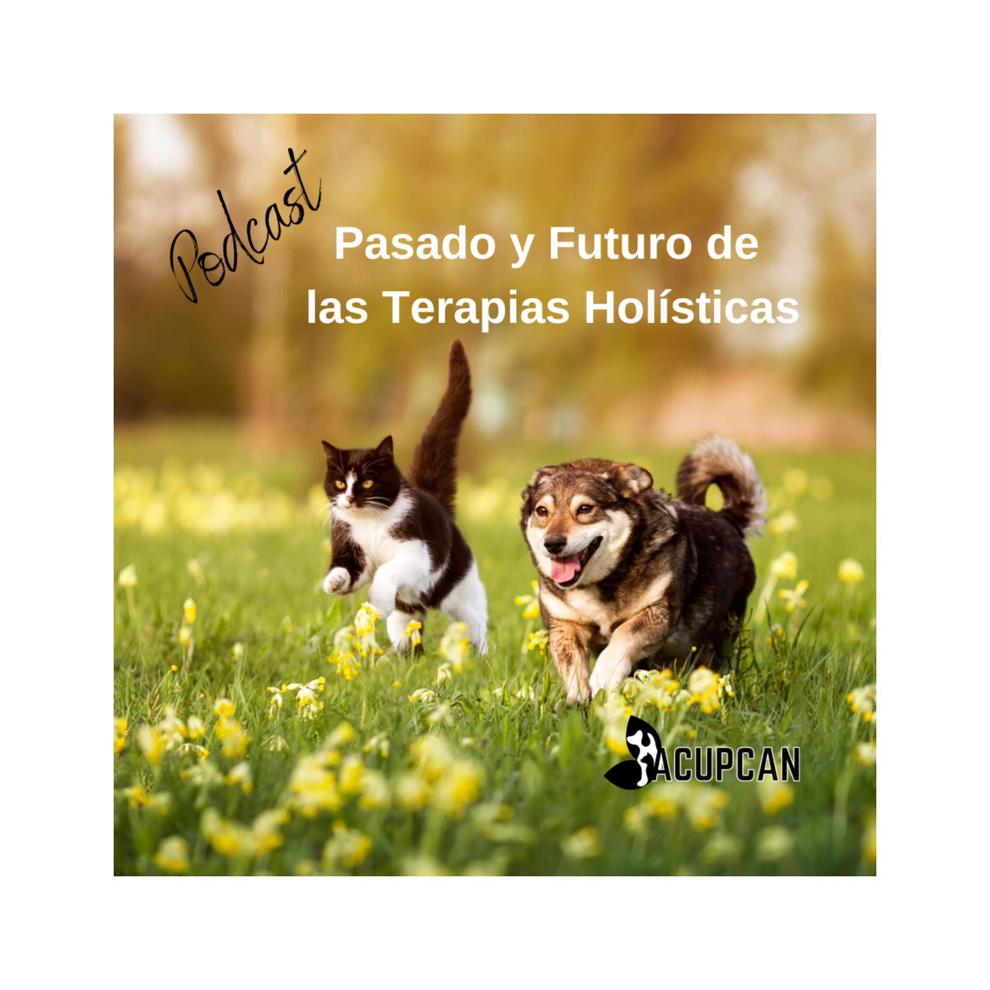 Salud y bienestar Animal más allá de la medicina tradicional