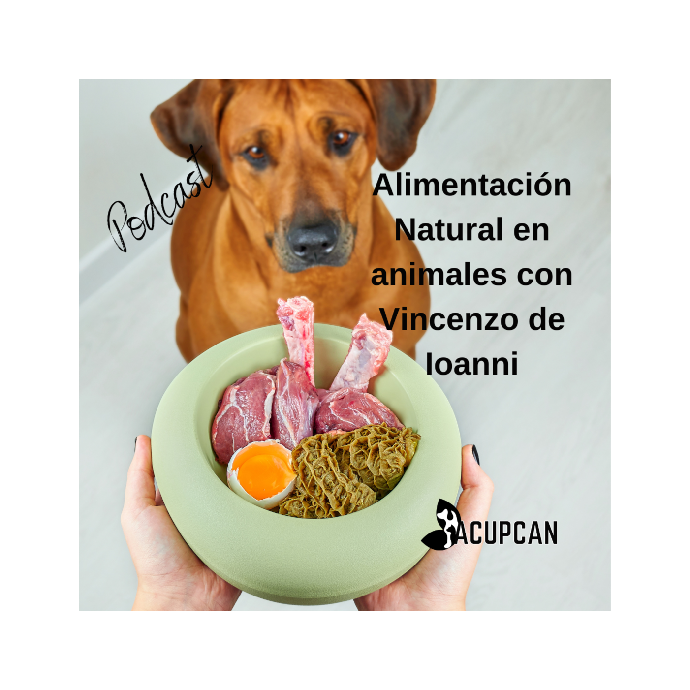 Salud y bienestar Animal más allá de la medicina tradicional