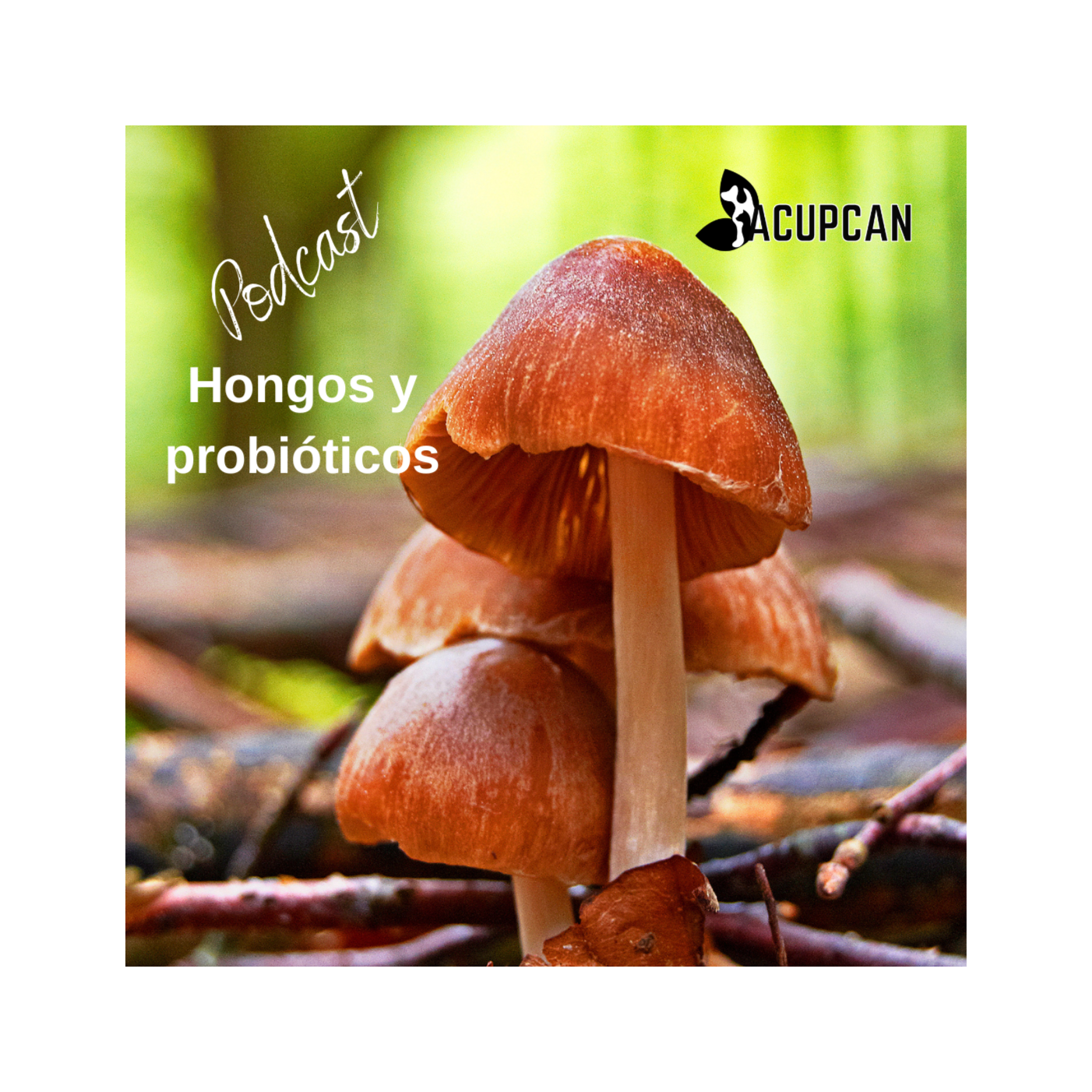 Salud y bienestar Animal más allá de la medicina tradicional