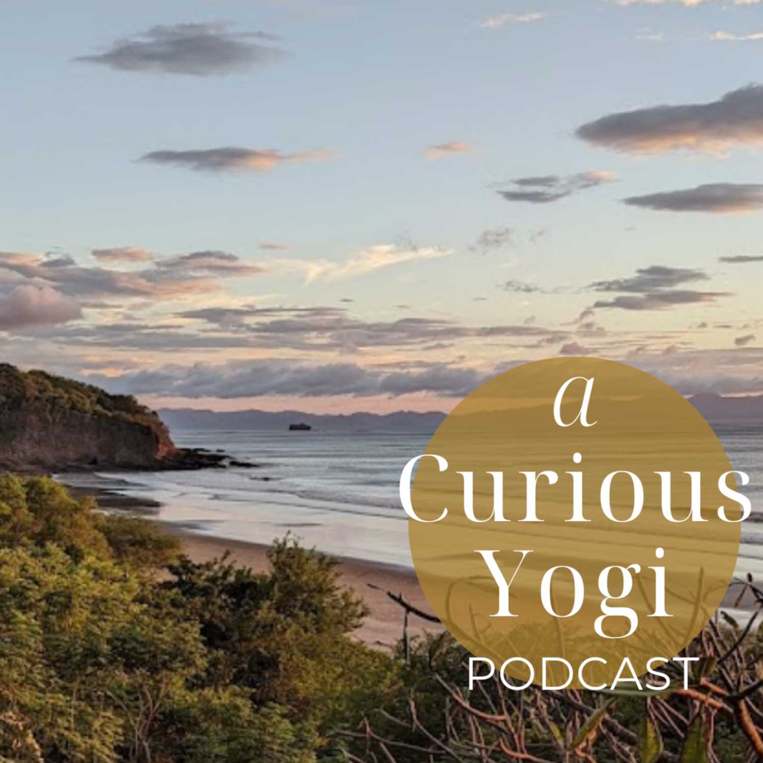 A Curious Yogi with Bobbi Paidel
