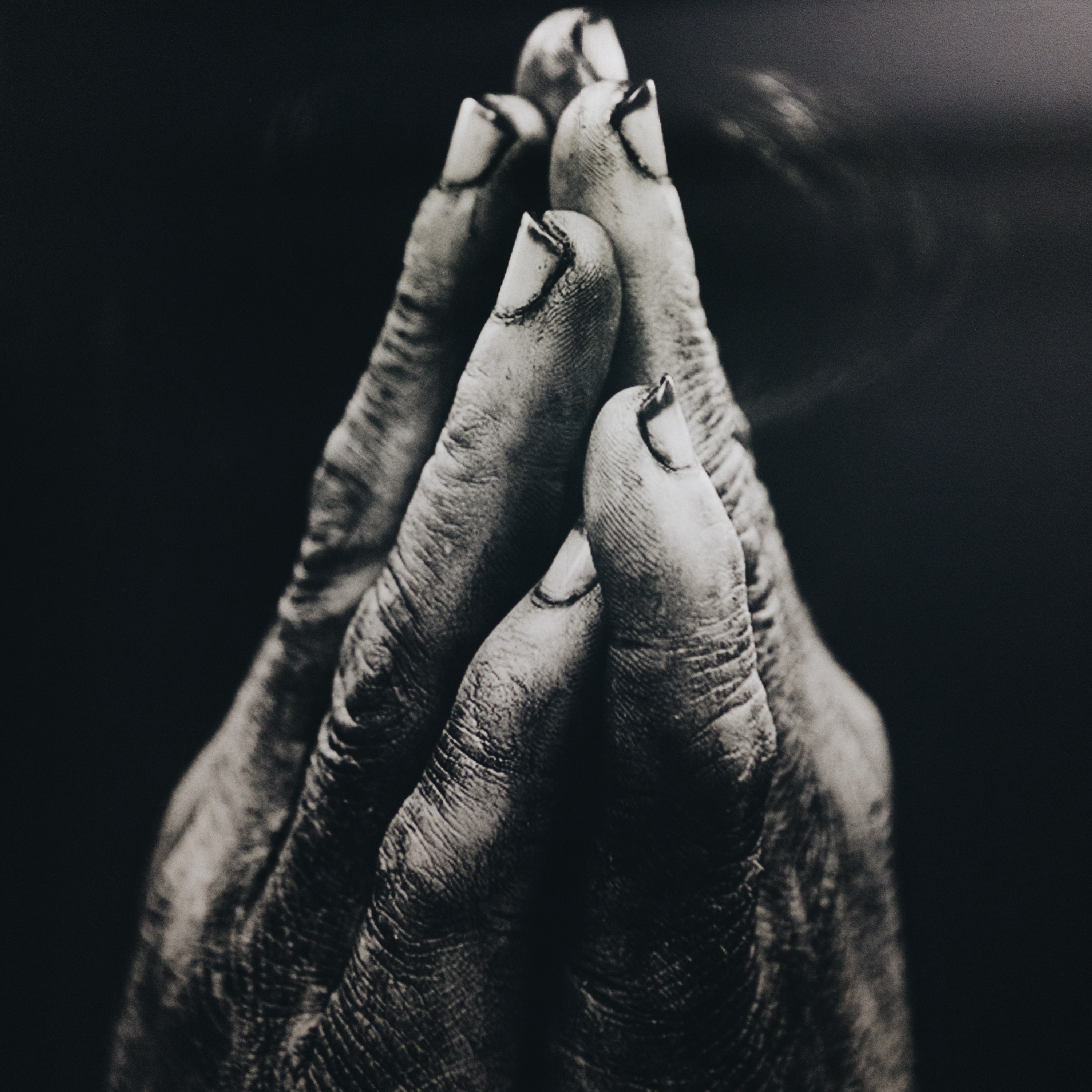ADDBIBLE, Audio Daily Devotion