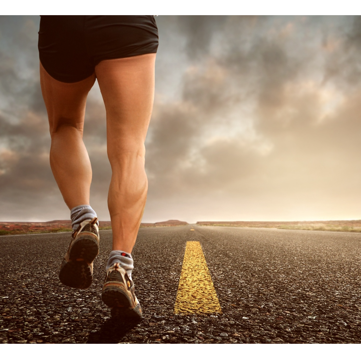 ADDBIBLE® Hebrews 12 - Discipline Builds Endurance