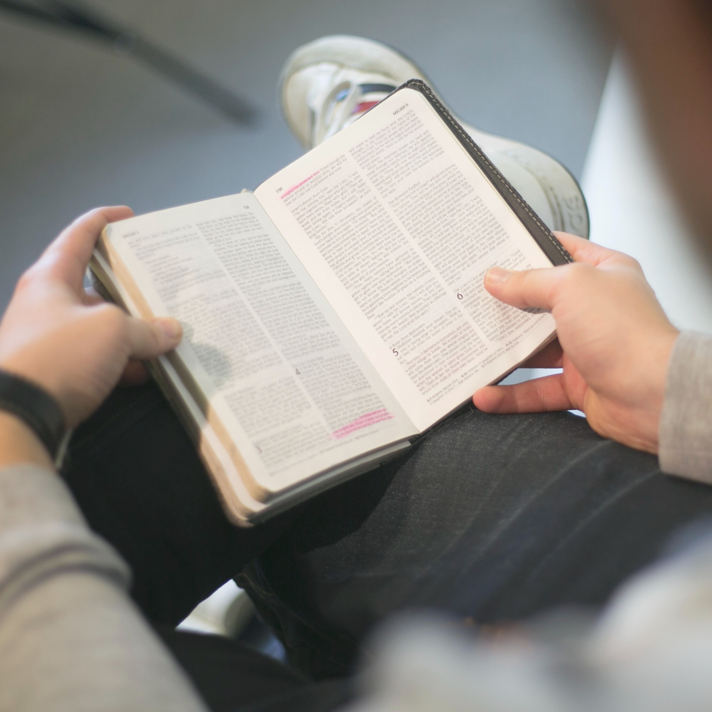 ADDBIBLE® Daniel 8 - The Future