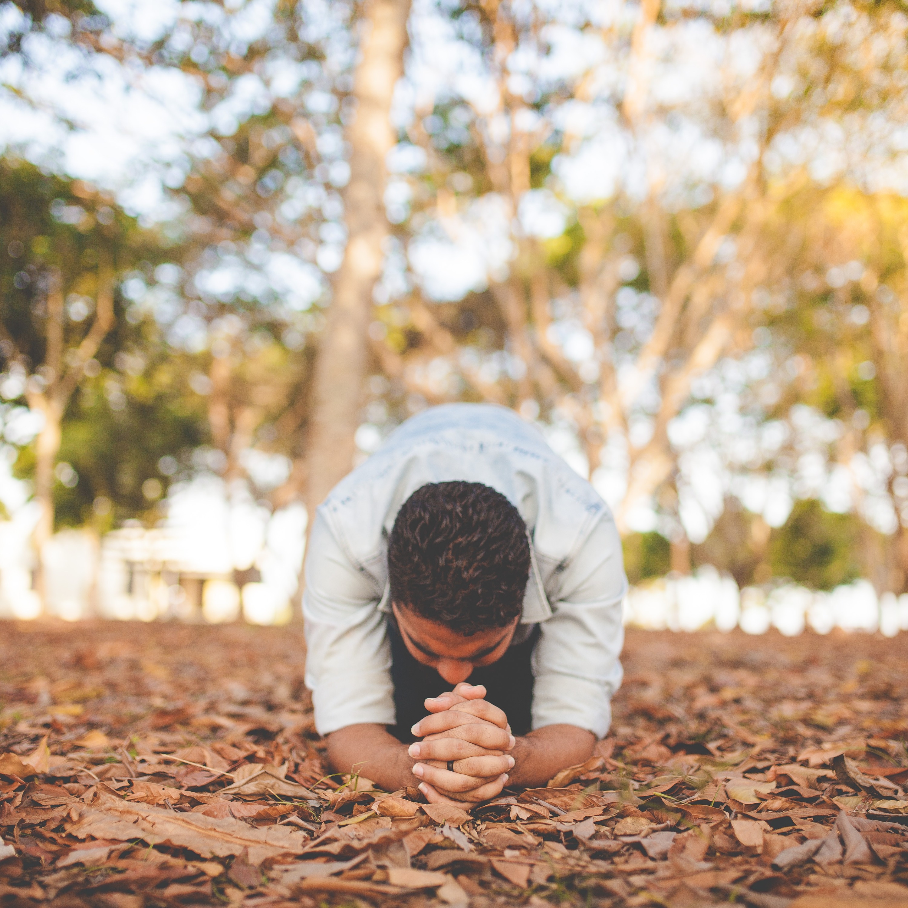 ADDBIBLE® Hosea 8 - Pushing God Too Far