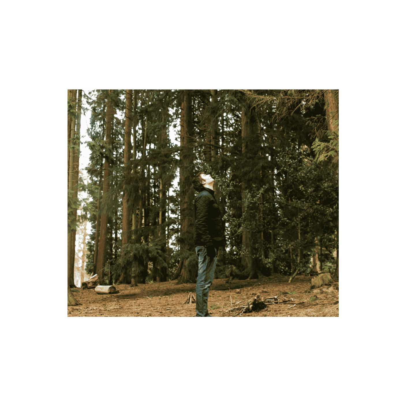 ADDBIBLE® Joel 2 - Return to Me