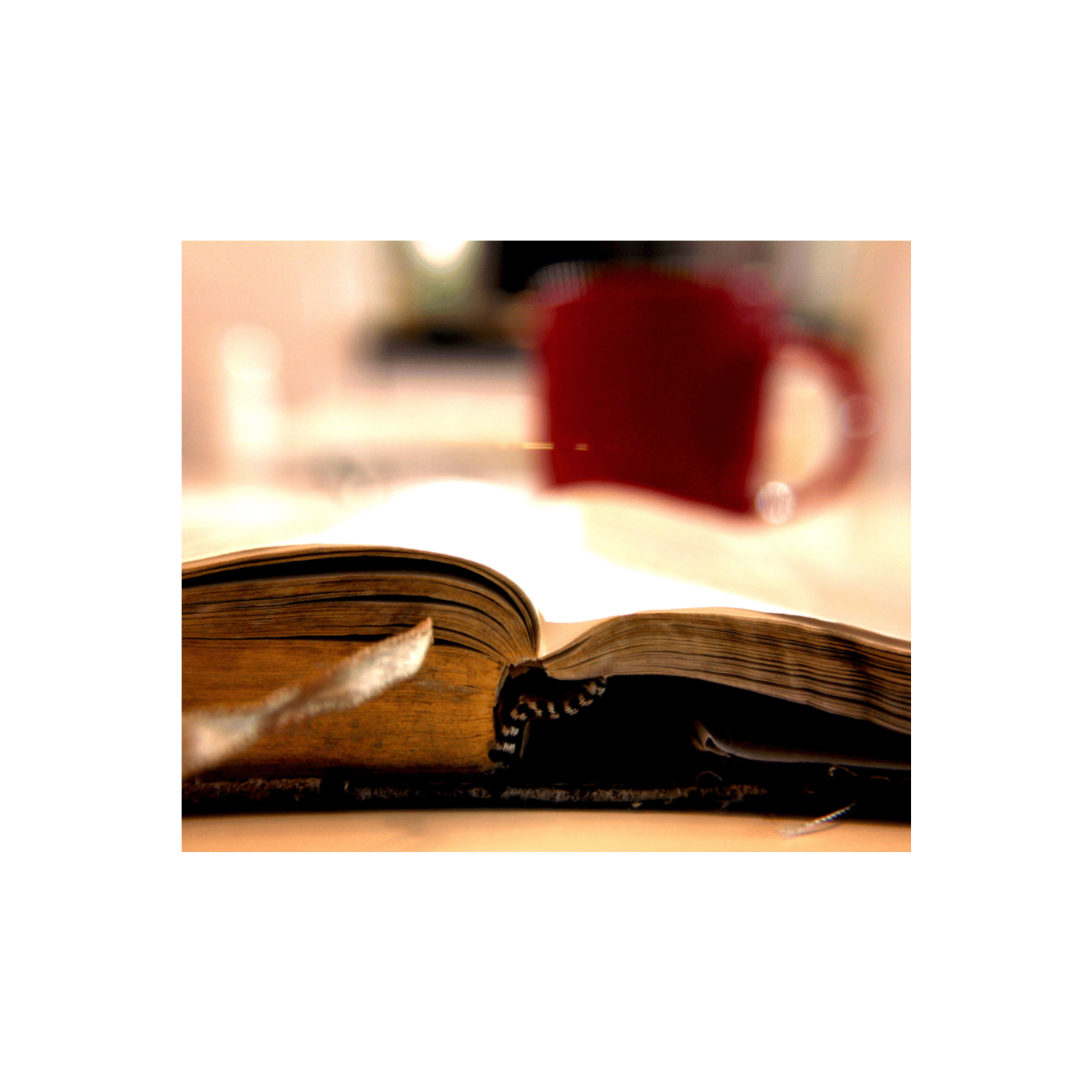 ADDBIBLE® Amos 7 - The Plumb Line