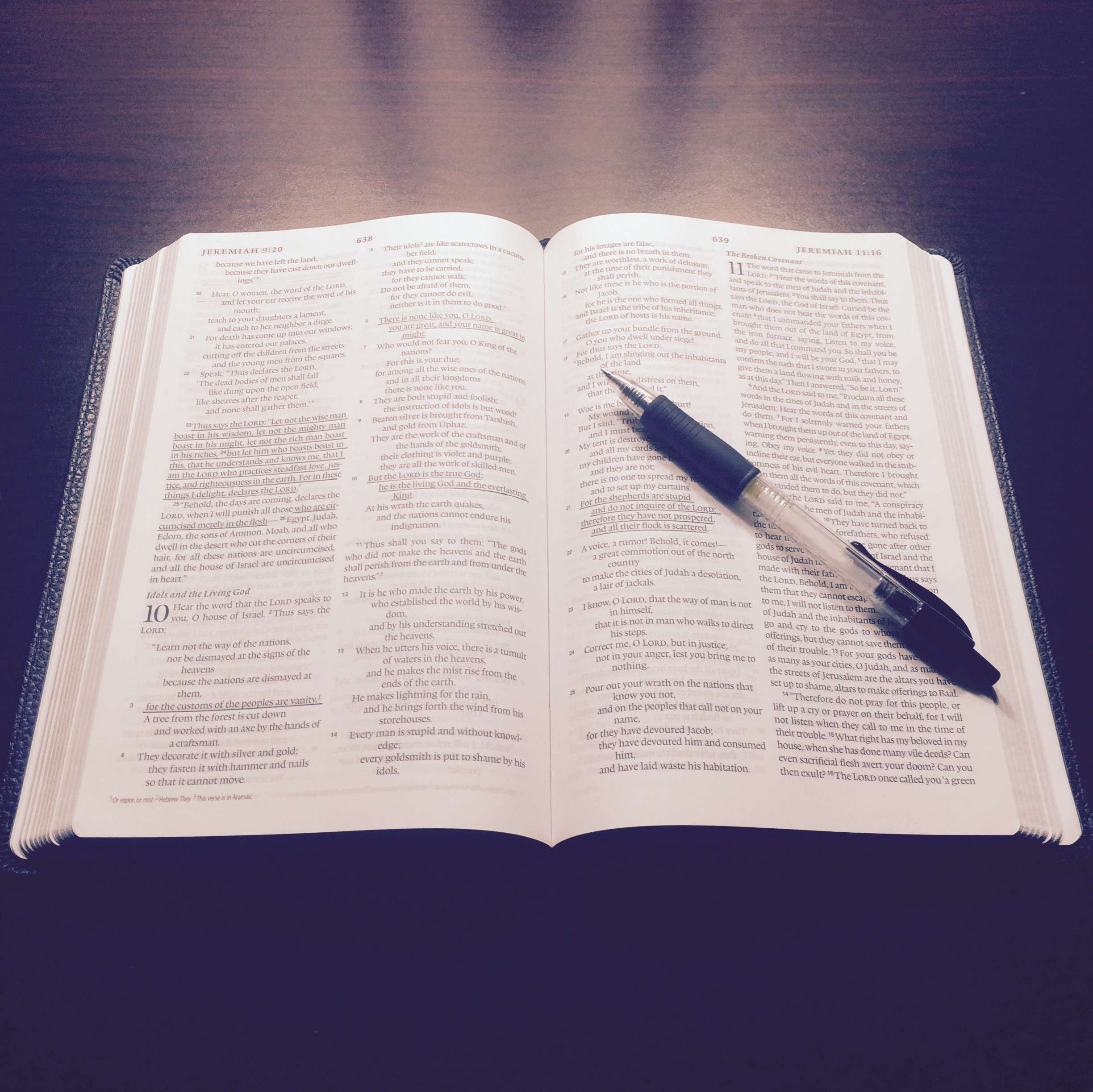 ADDBIBLE® Micah 4 - Now and Then