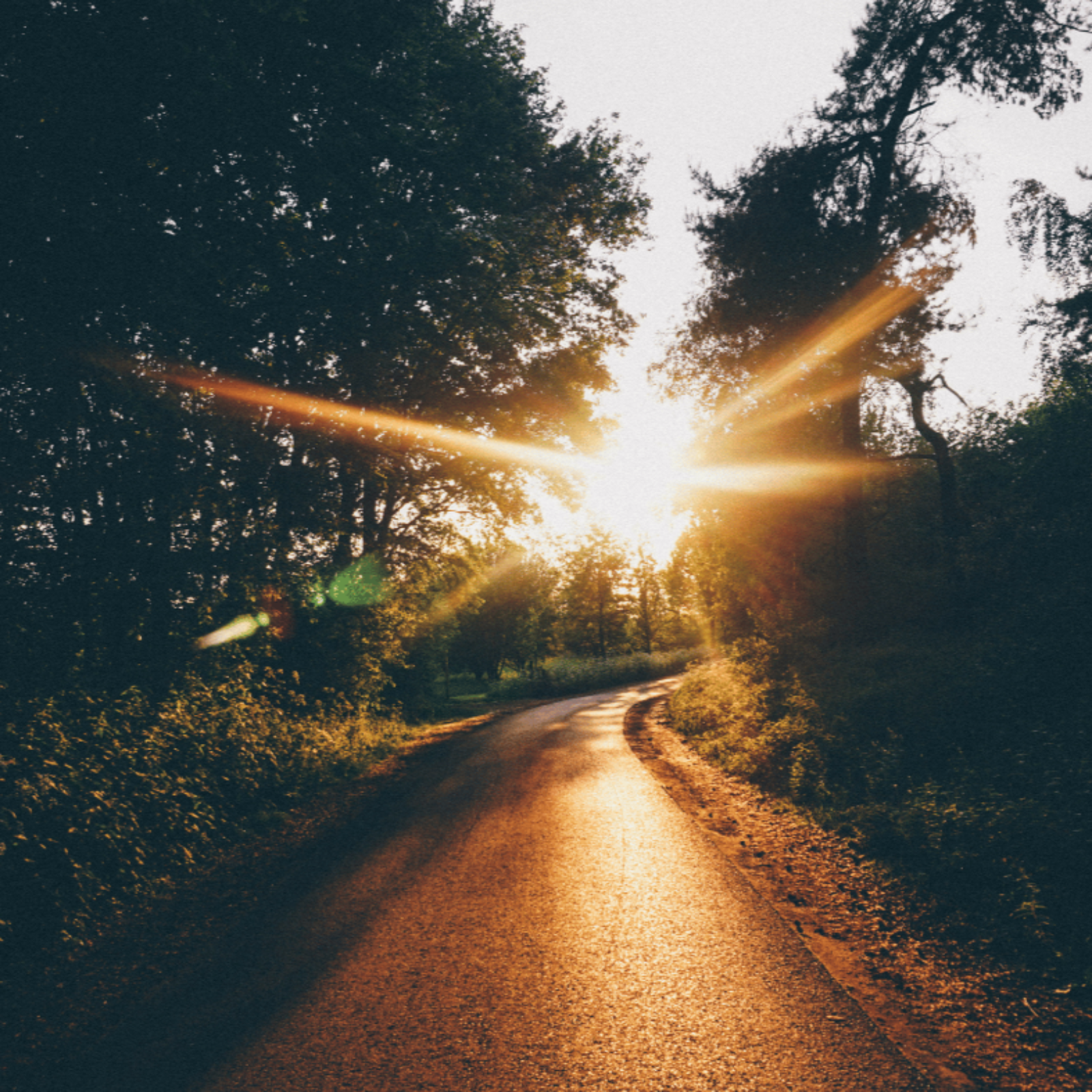 ADDBIBLE® Zechariah 12 - On that Day