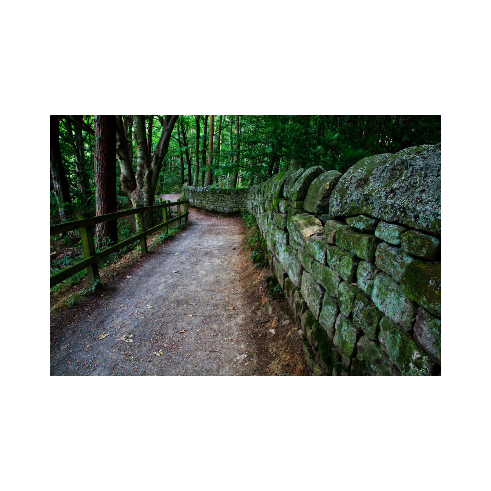 ADDBIBLE® Romans 8 - What can Separate Us from the Love of God?