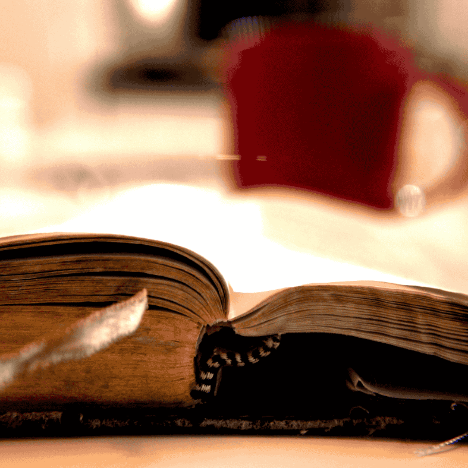 ADDBIBLE® 1 Corinthians 11 - Headship