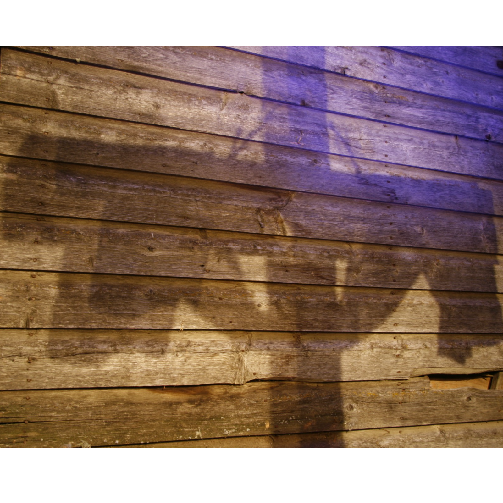 ADDBIBLE® Colossians 3 - How Should Christians Live?