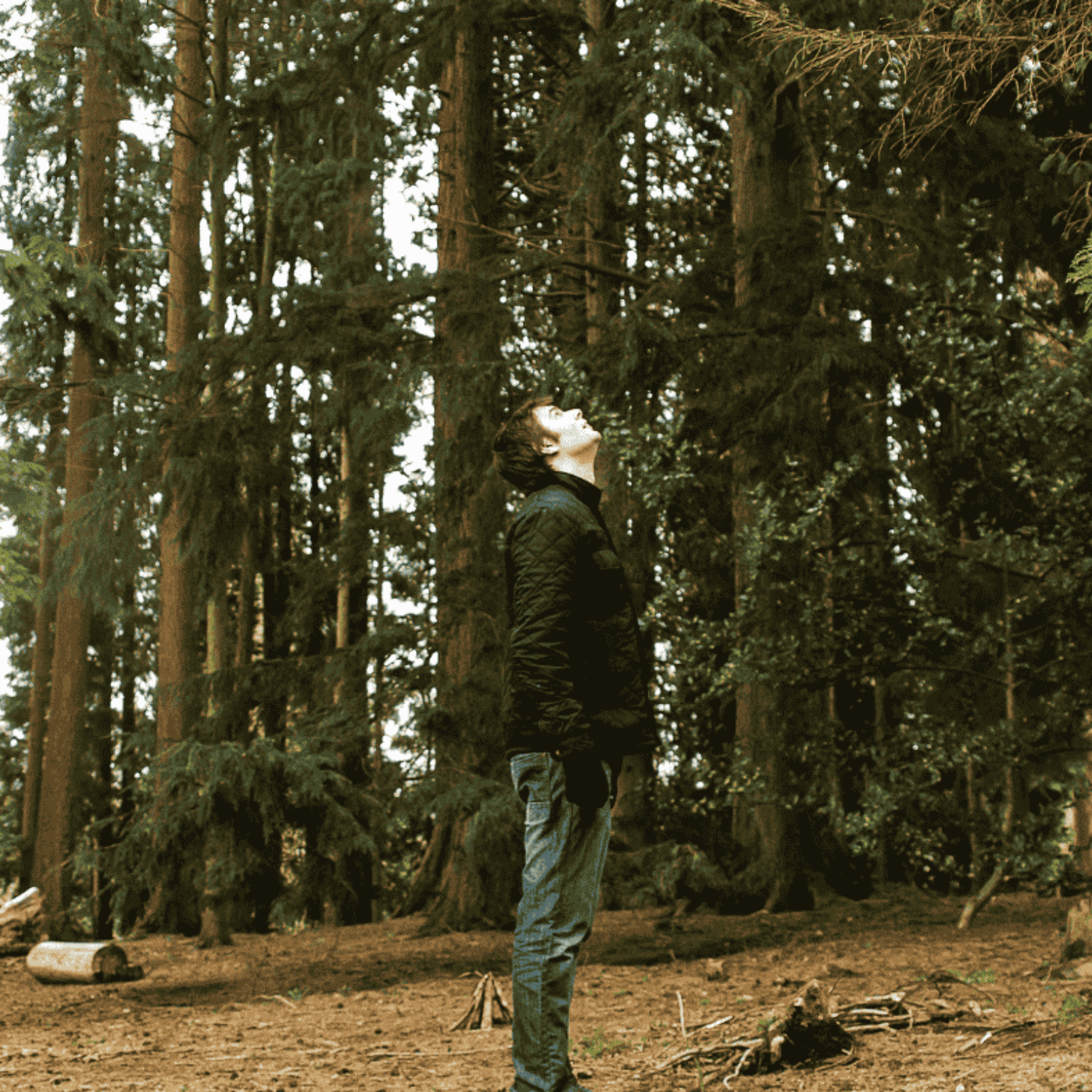 ADDBIBLE® 1 Thessalonians 4 - The Will of God and the Rapture