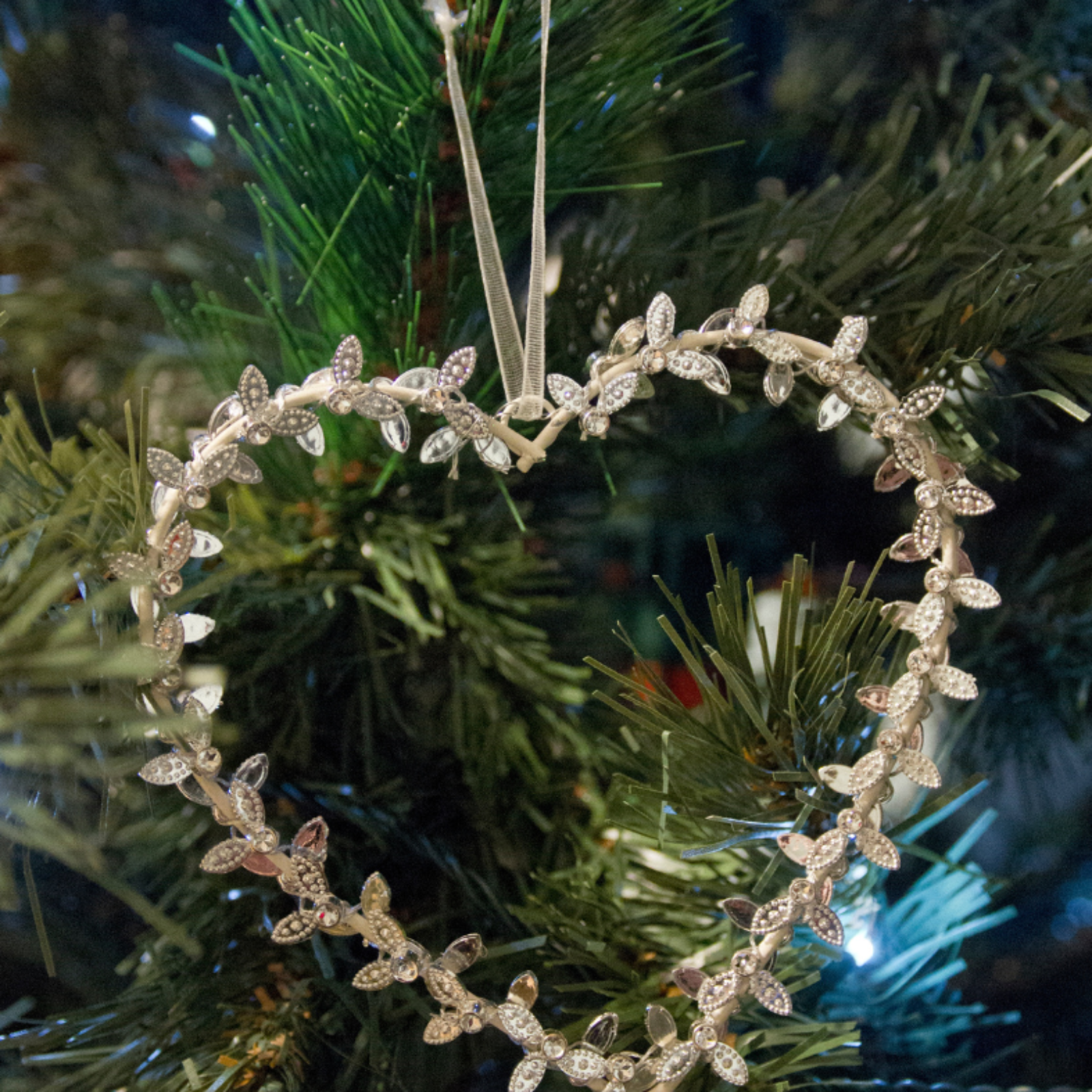 ADDBIBLE® 1 Timothy 1 - Love from a Pure Heart