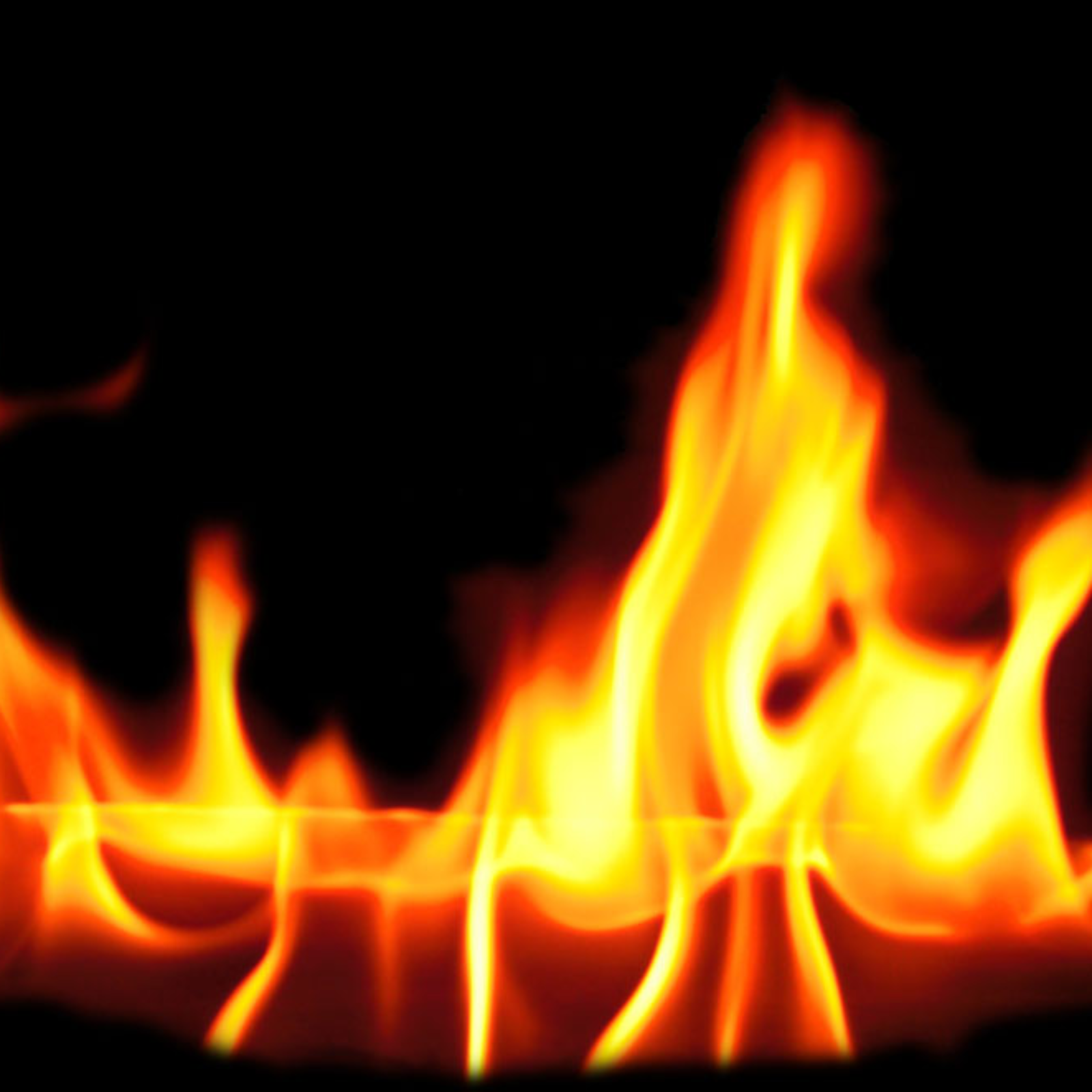 ADDBIBLE® 2 Timothy 1 - Fan the Flame