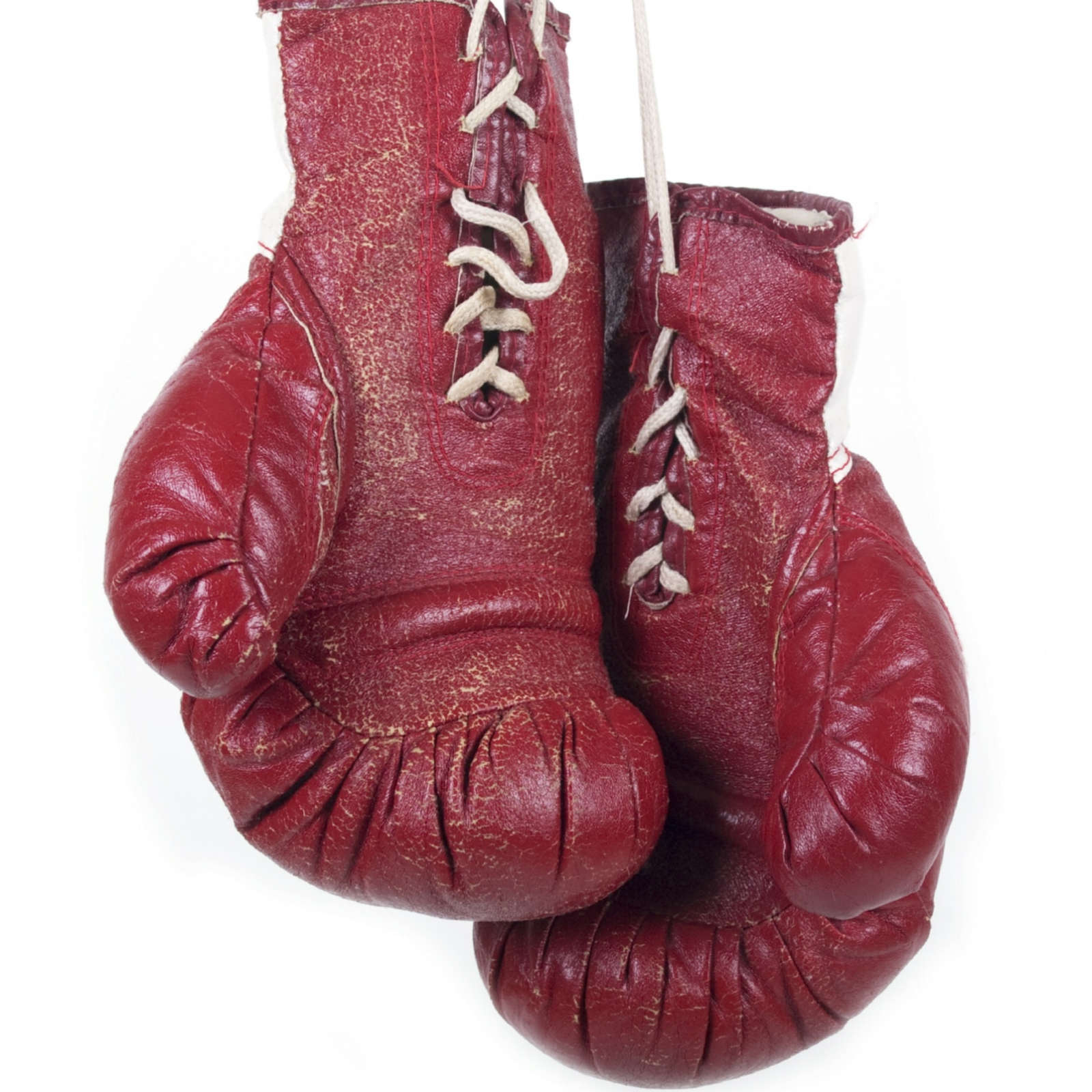 ADDBIBLE® Jude 1 - Contend for the Faith