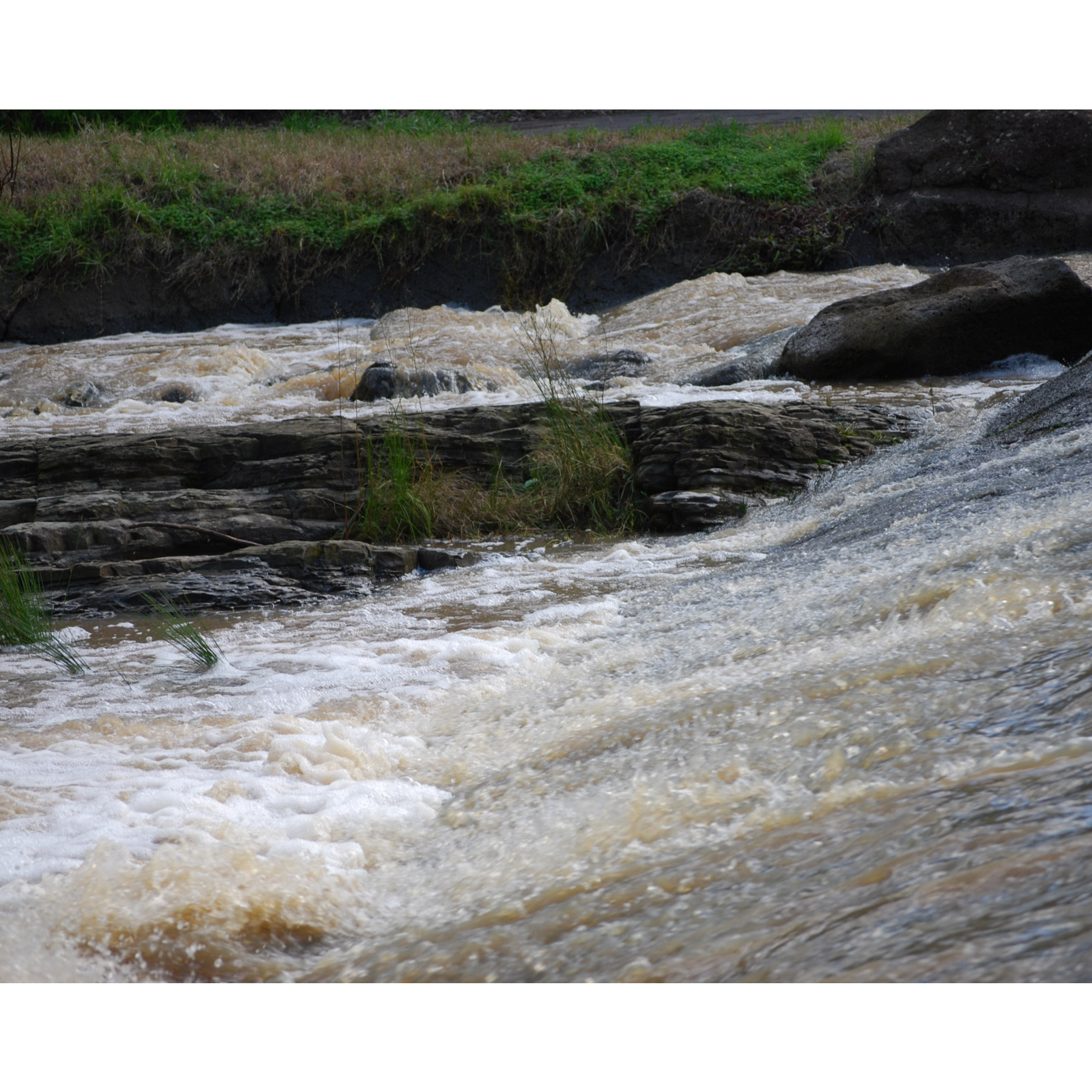 ADDBIBLE® Genesis 7 - The Flood