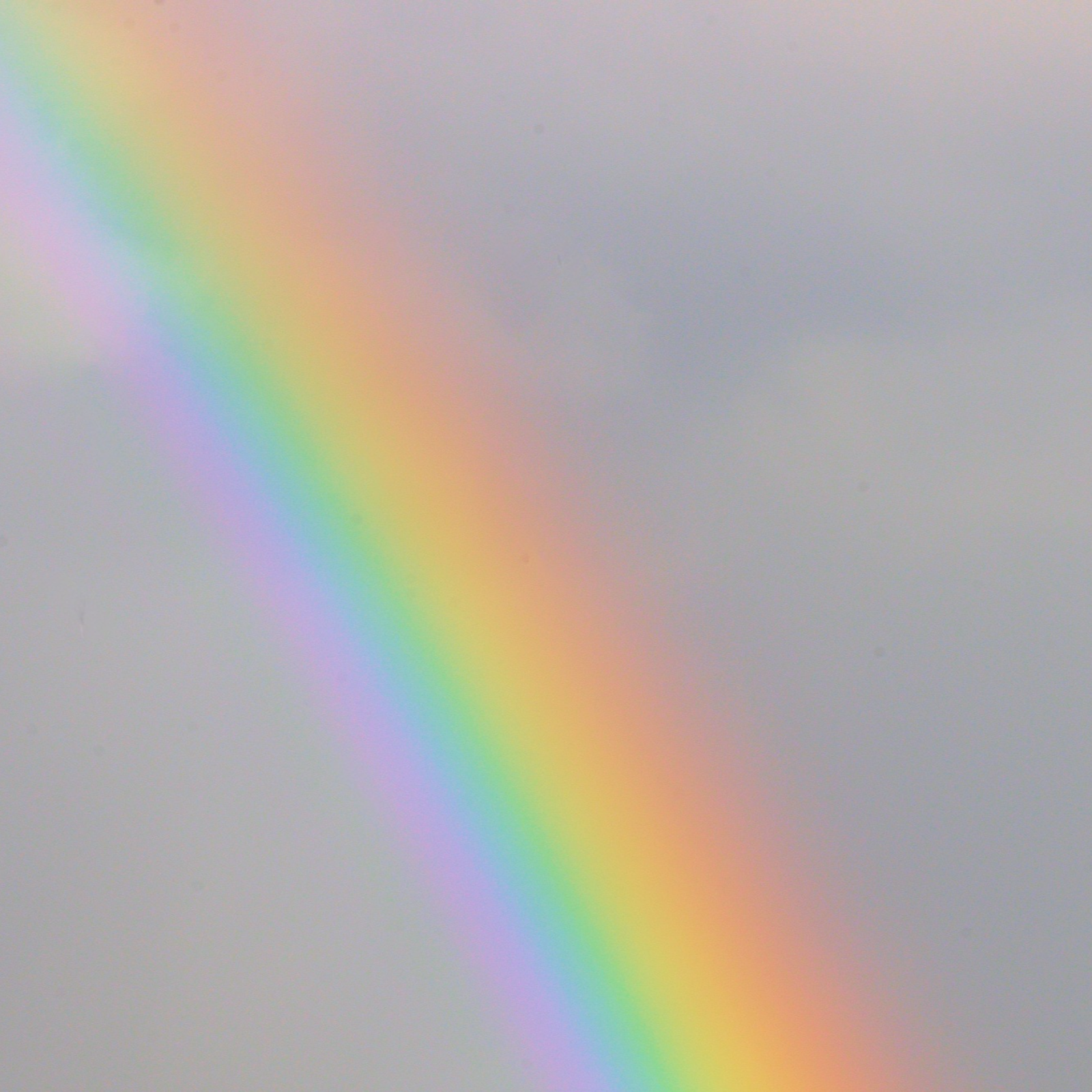 ADDBIBLE® Genesis 9 - Rainbows