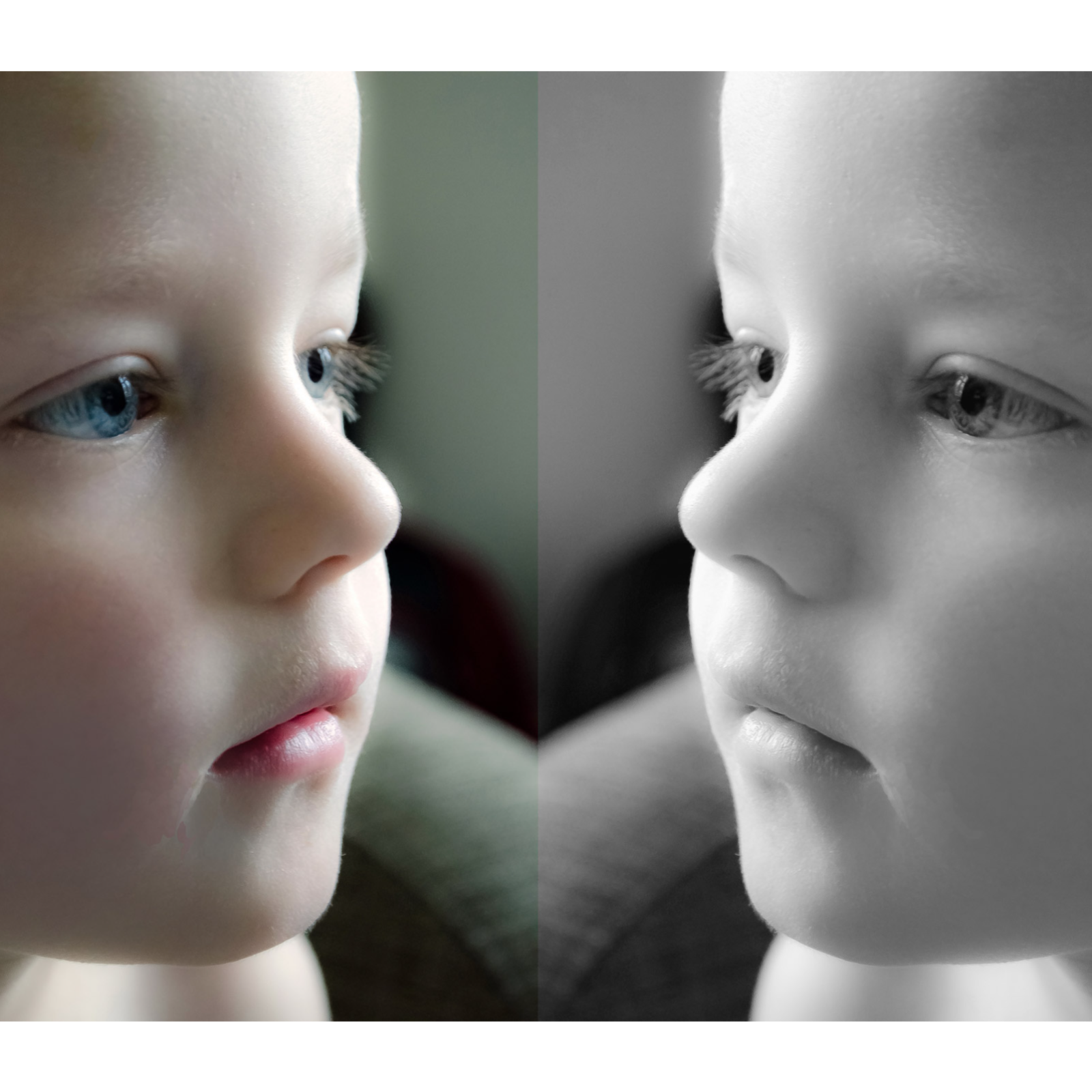 ADDBIBLE® Genesis 10 - Be Fruitful and Multiply