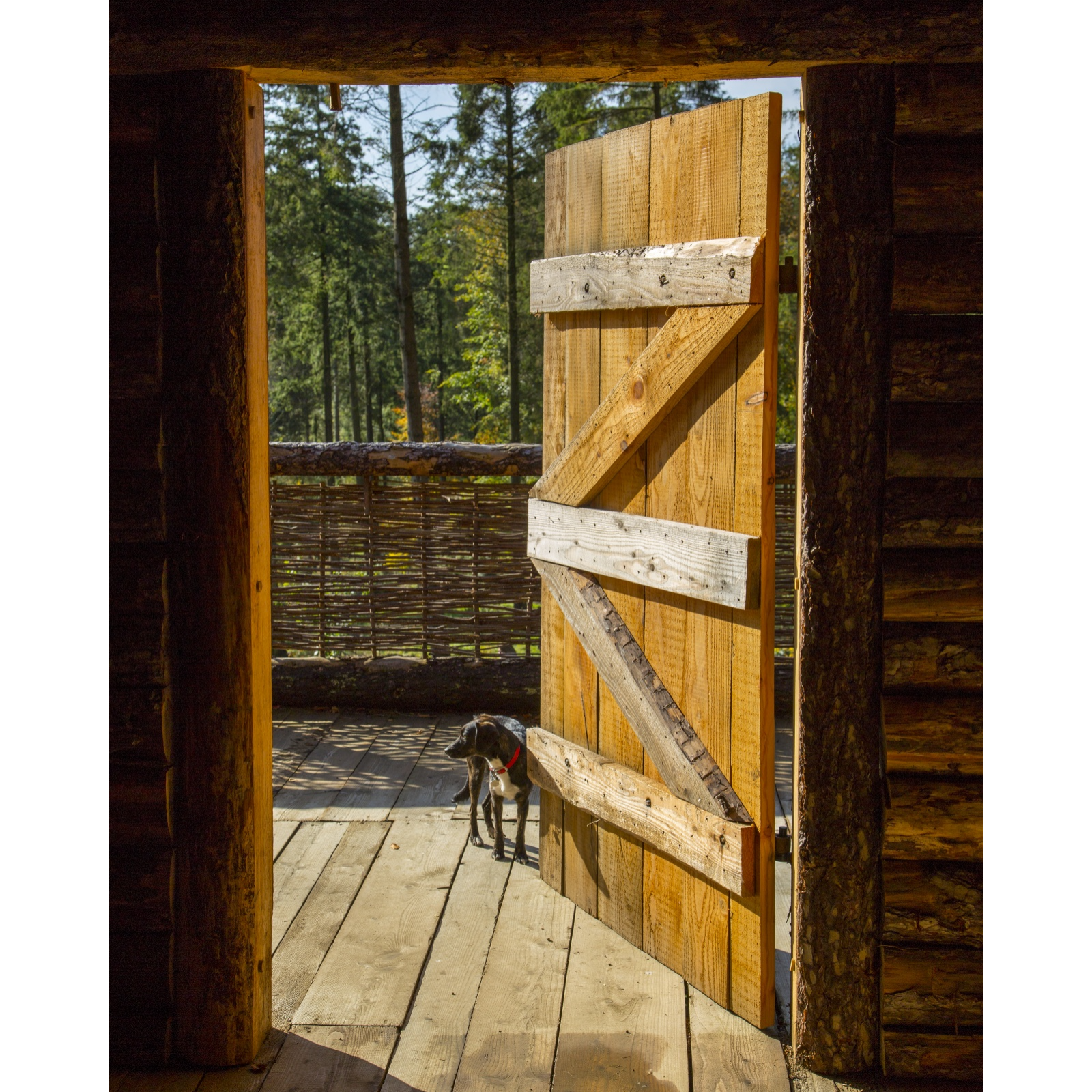 ADDBIBLE® Genesis 16 - Open Door Christianity?