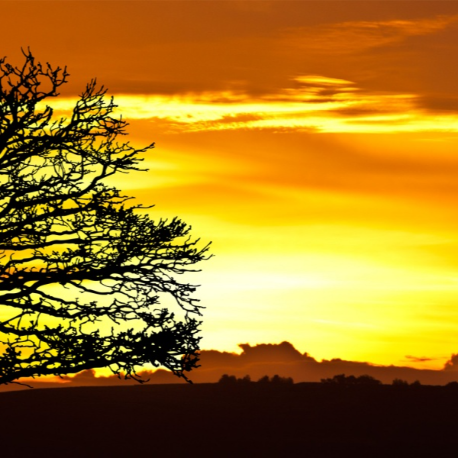 ADDBIBLE® Genesis 48 - An Ordinary Day