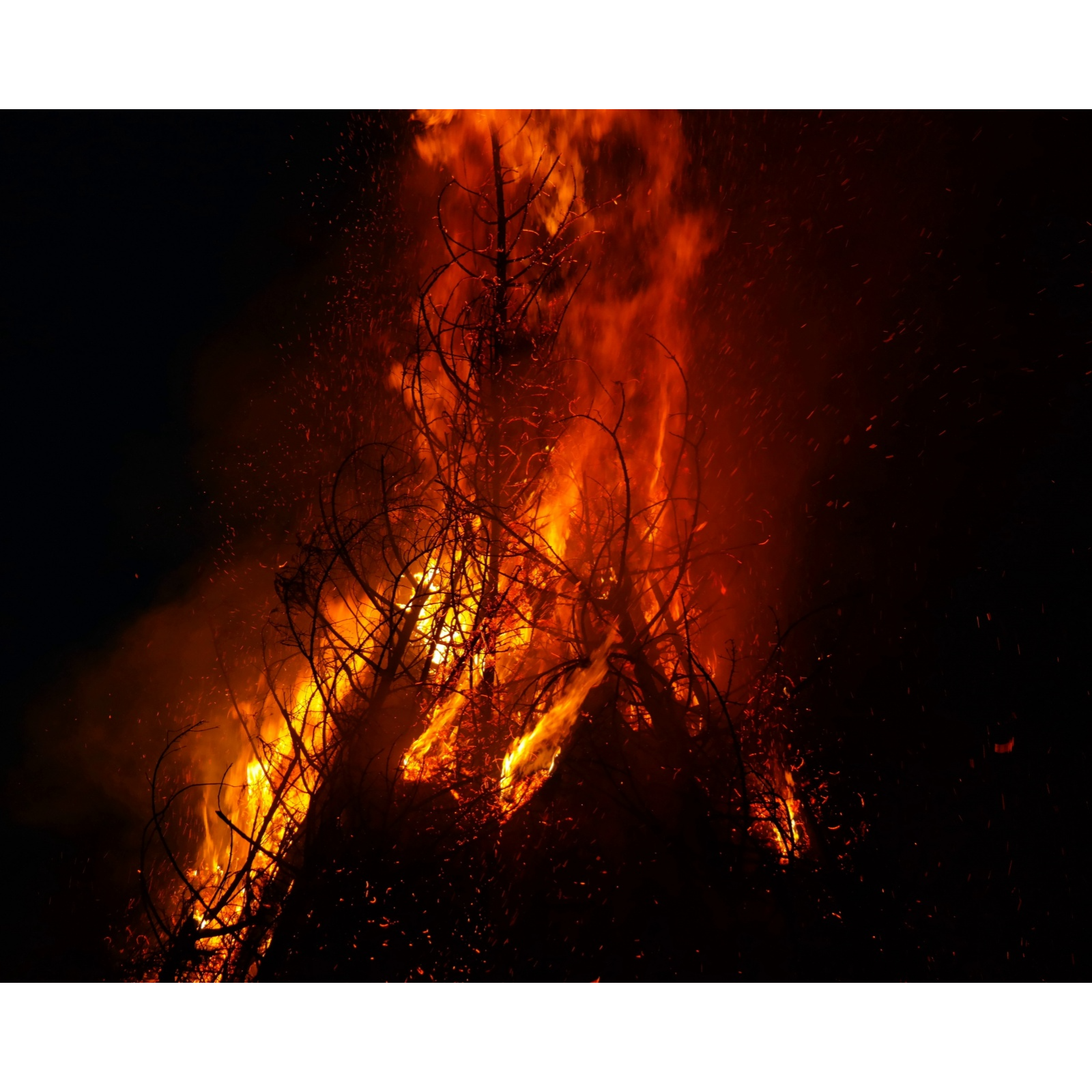 ADDBIBLE® Exodus 3 - A Burning Bush