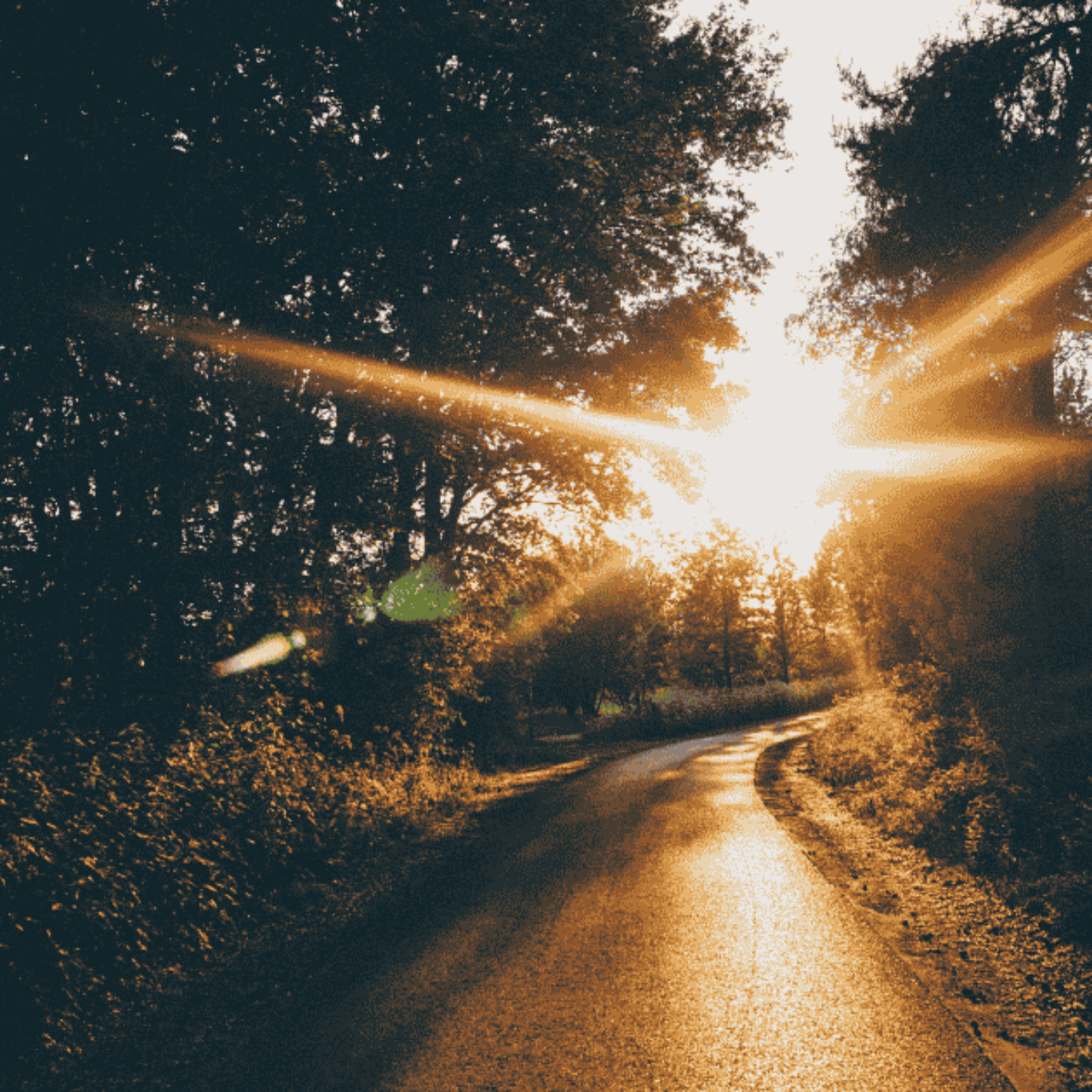 ADDBIBLE® Exodus 19 - What it is like to Meet God?