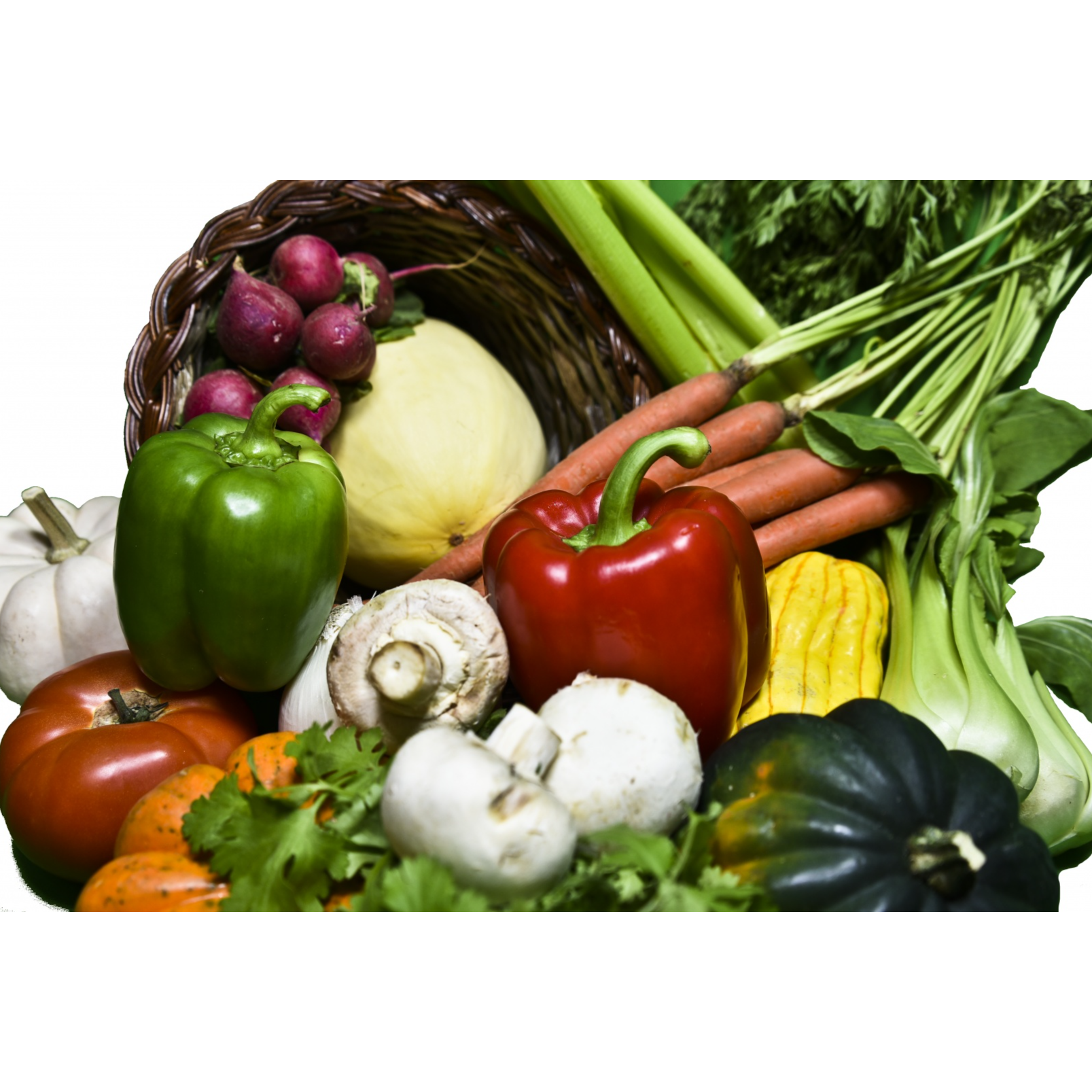 ADDBIBLE® Exodus 36 - More than Enough