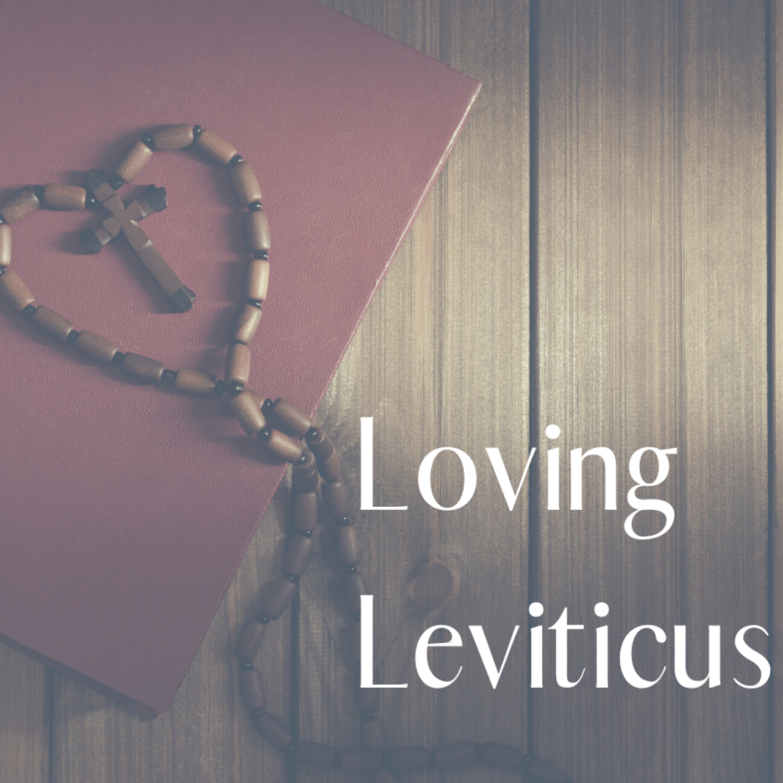 ADDBIBLE ® Leviticus 1 - Introduction to Loving Leviticus