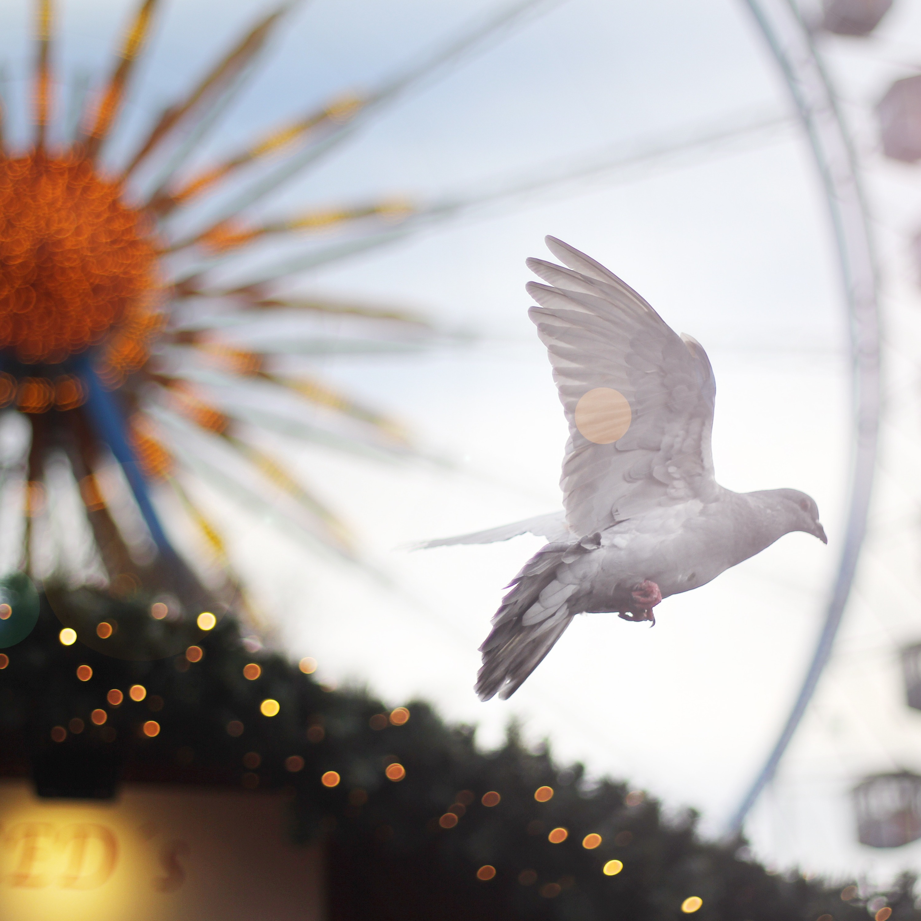 ADDBIBLE® Leviticus 3 - Peace Offerings