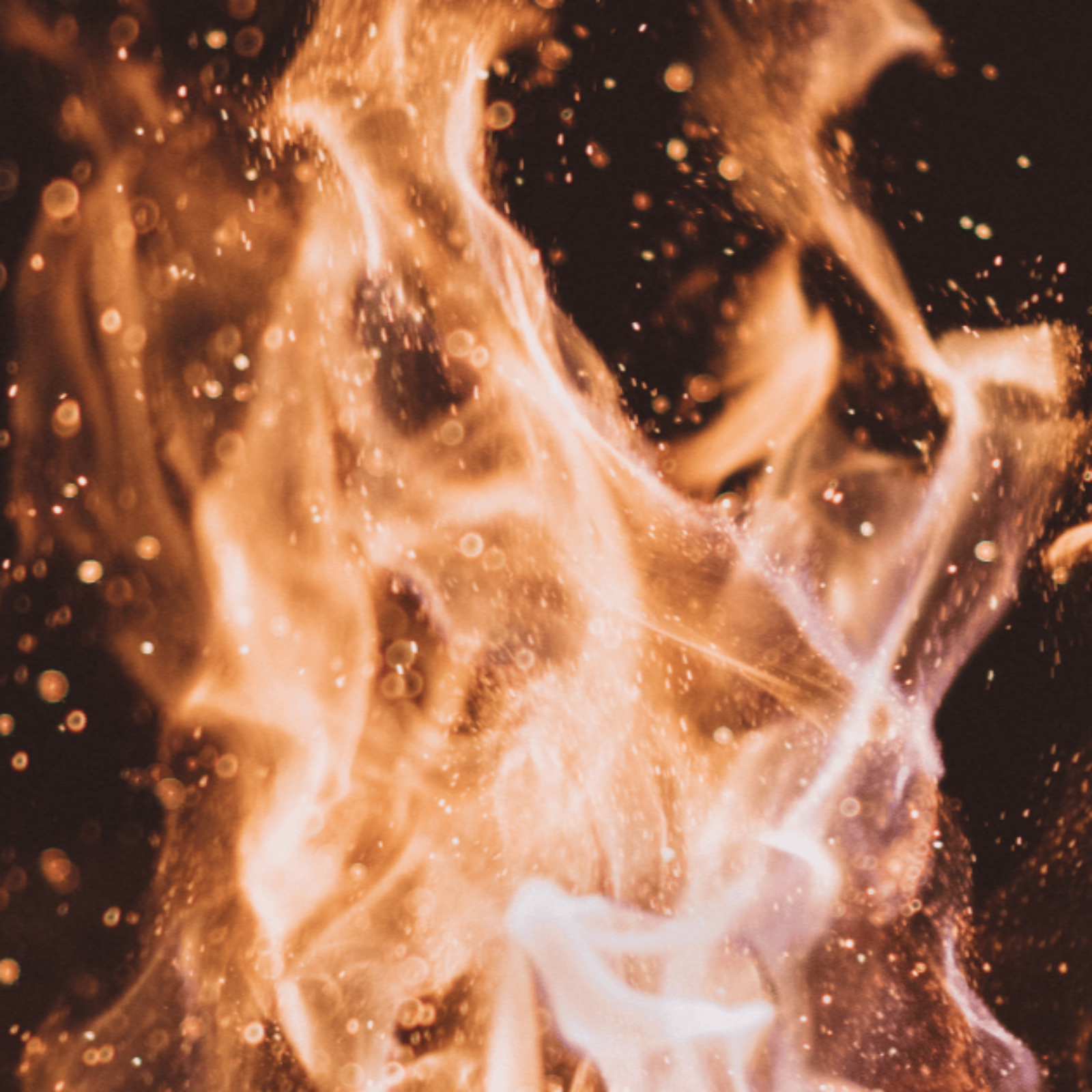 ADDBIBLE® Leviticus 6 - Continual Fire for God