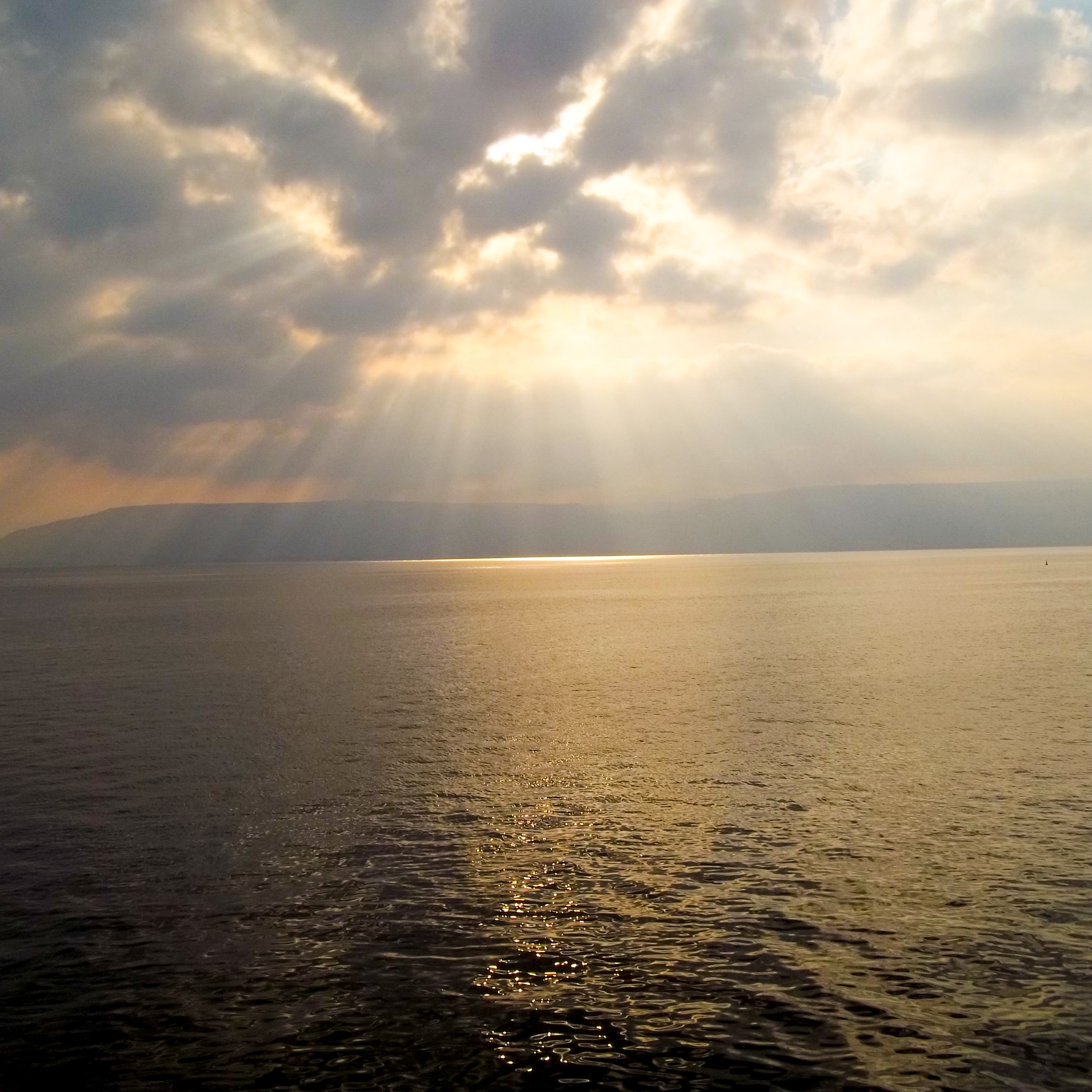 ADDBIBLE® Leviticus 9 - The Glory of the Lord Appears