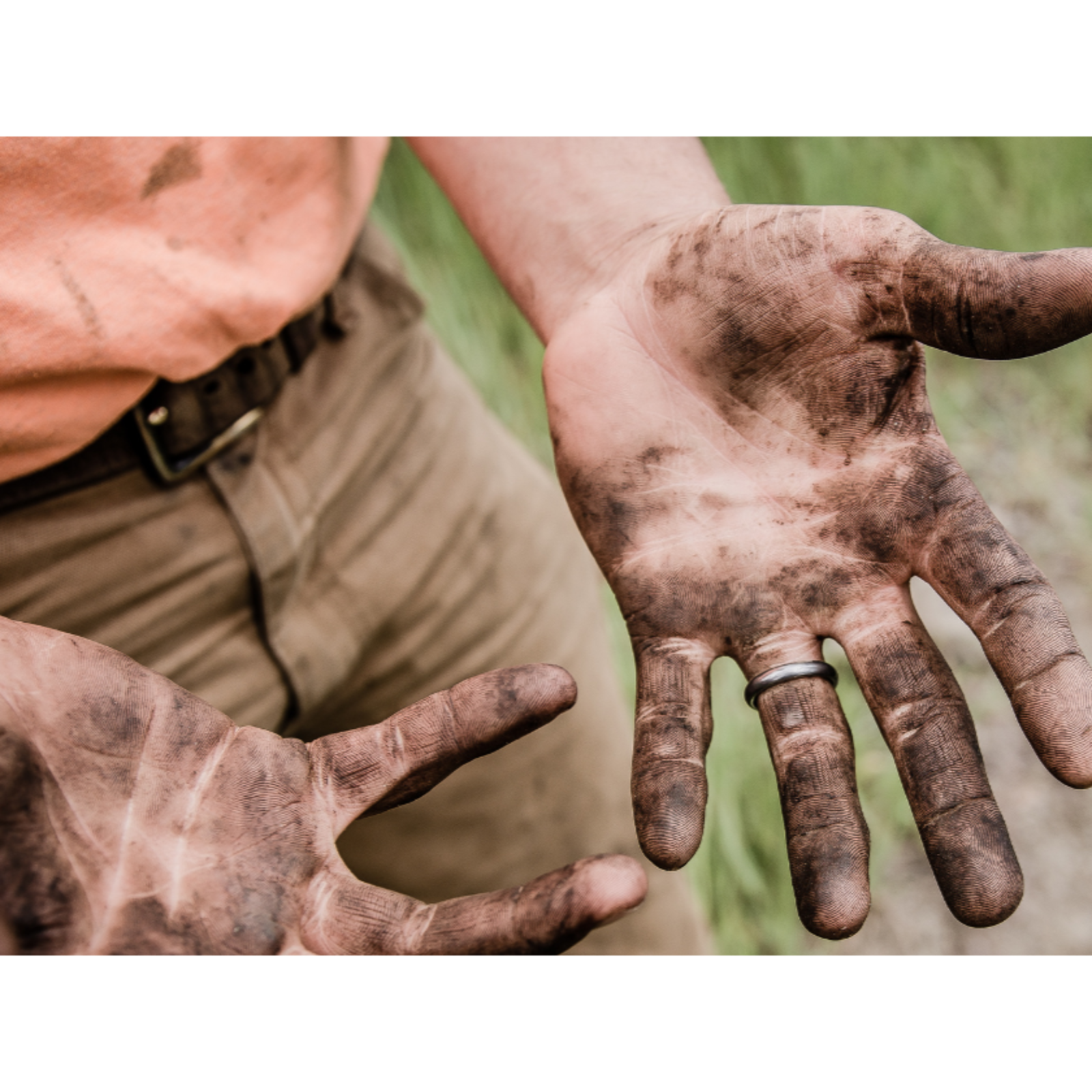 ADDBIBLE® Leviticus 11 -Clean And Unclean