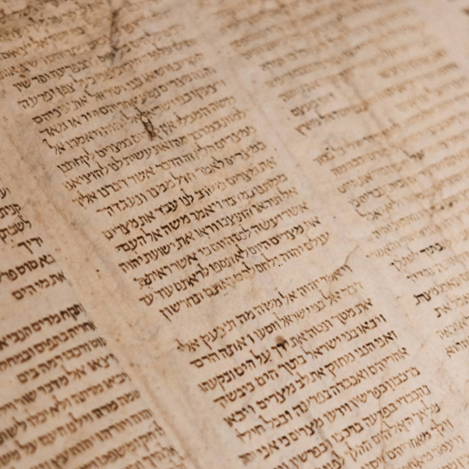 ADDBIBLE® Leviticus 13 - Leprosy Then And Now