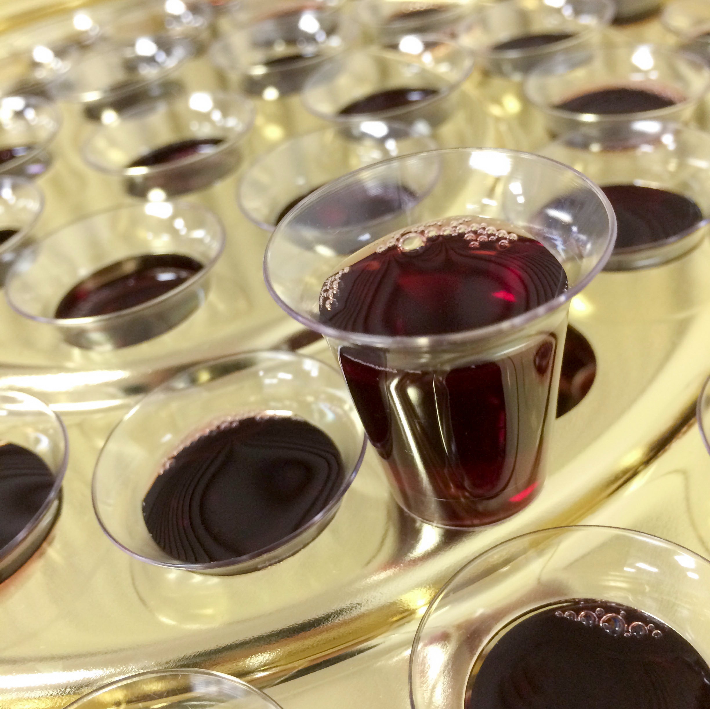 ADDBIBLE® Leviticus 17 - Life is in the Blood