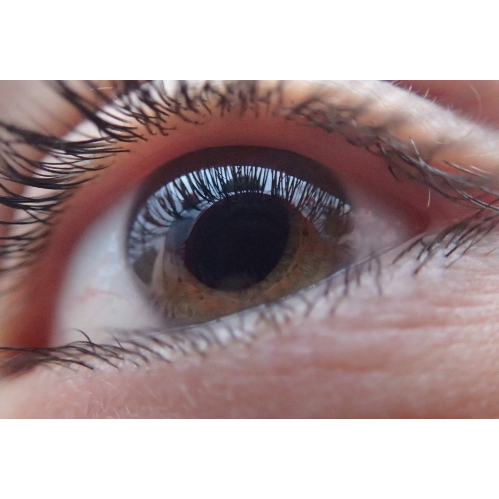 ADDBIBLE® Leviticus 24 - An Eye for an Eye