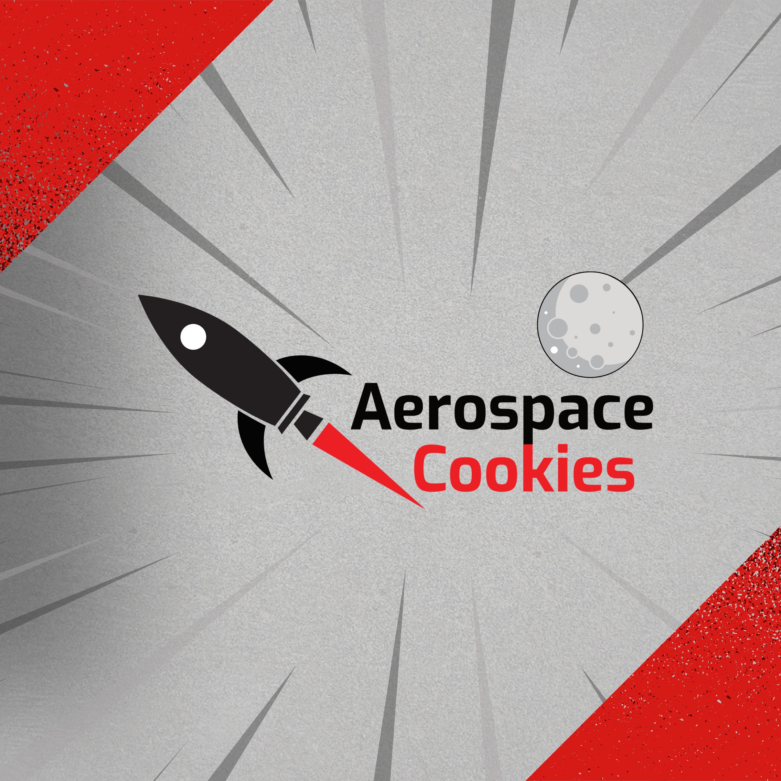 Aerospace Cookies - SciTech in Popular Culture