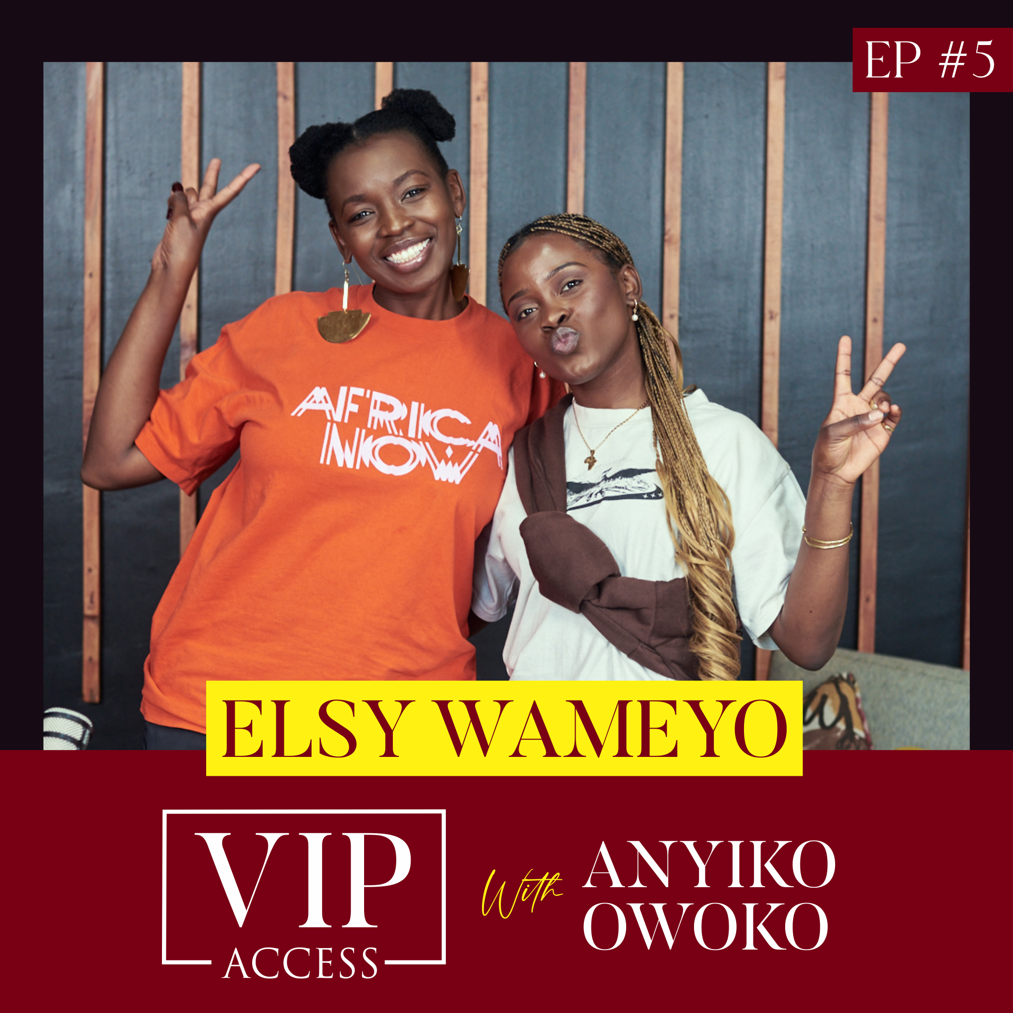 VIP ACCESS
