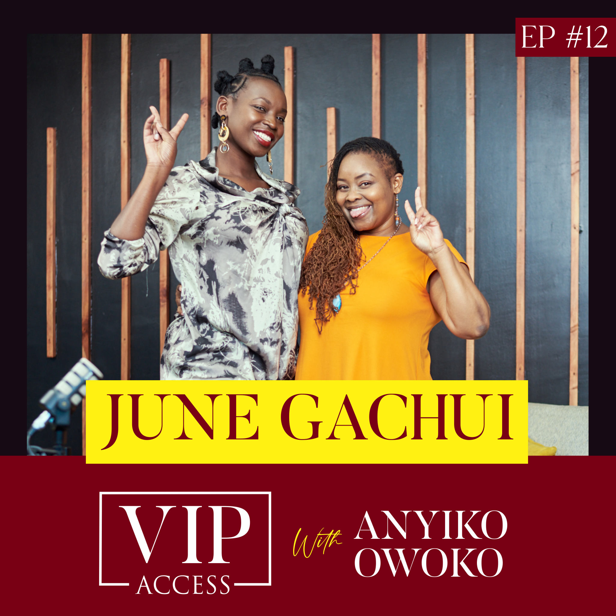 VIP ACCESS